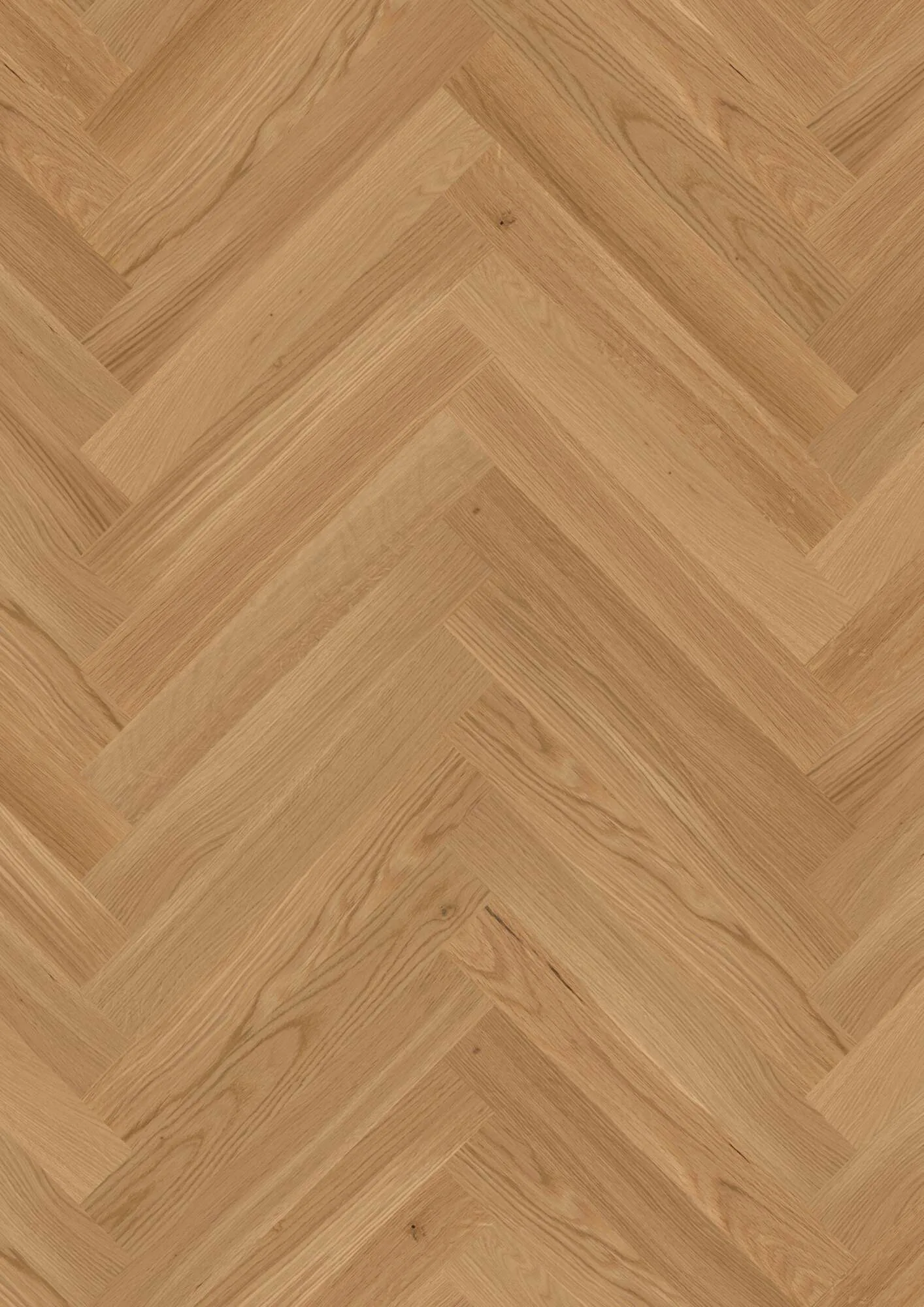 Prestige Oak Transparent Nature