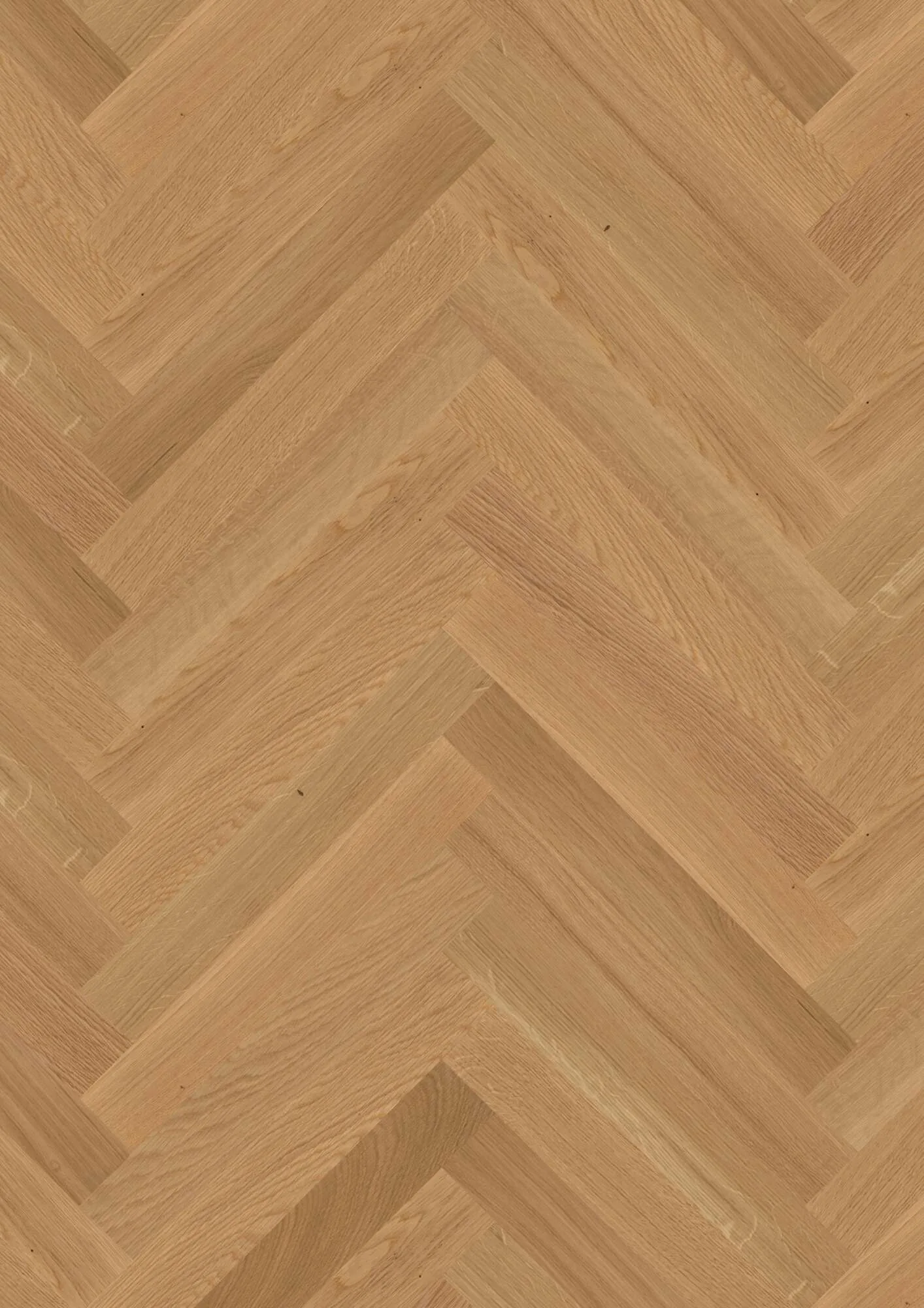 Prestige Oak Transparent Select