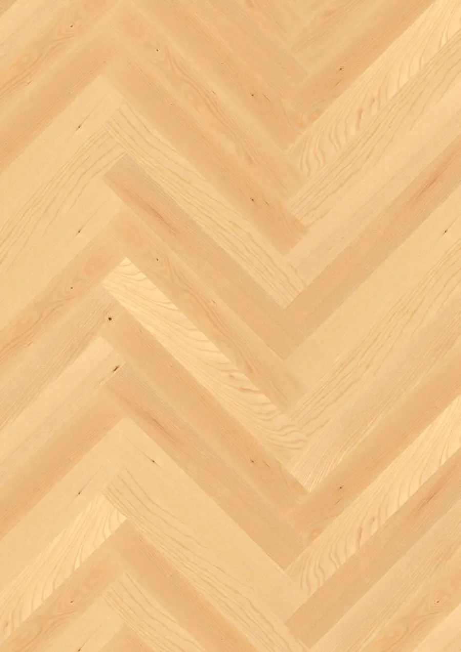 Prestige Ash Transparent Nature