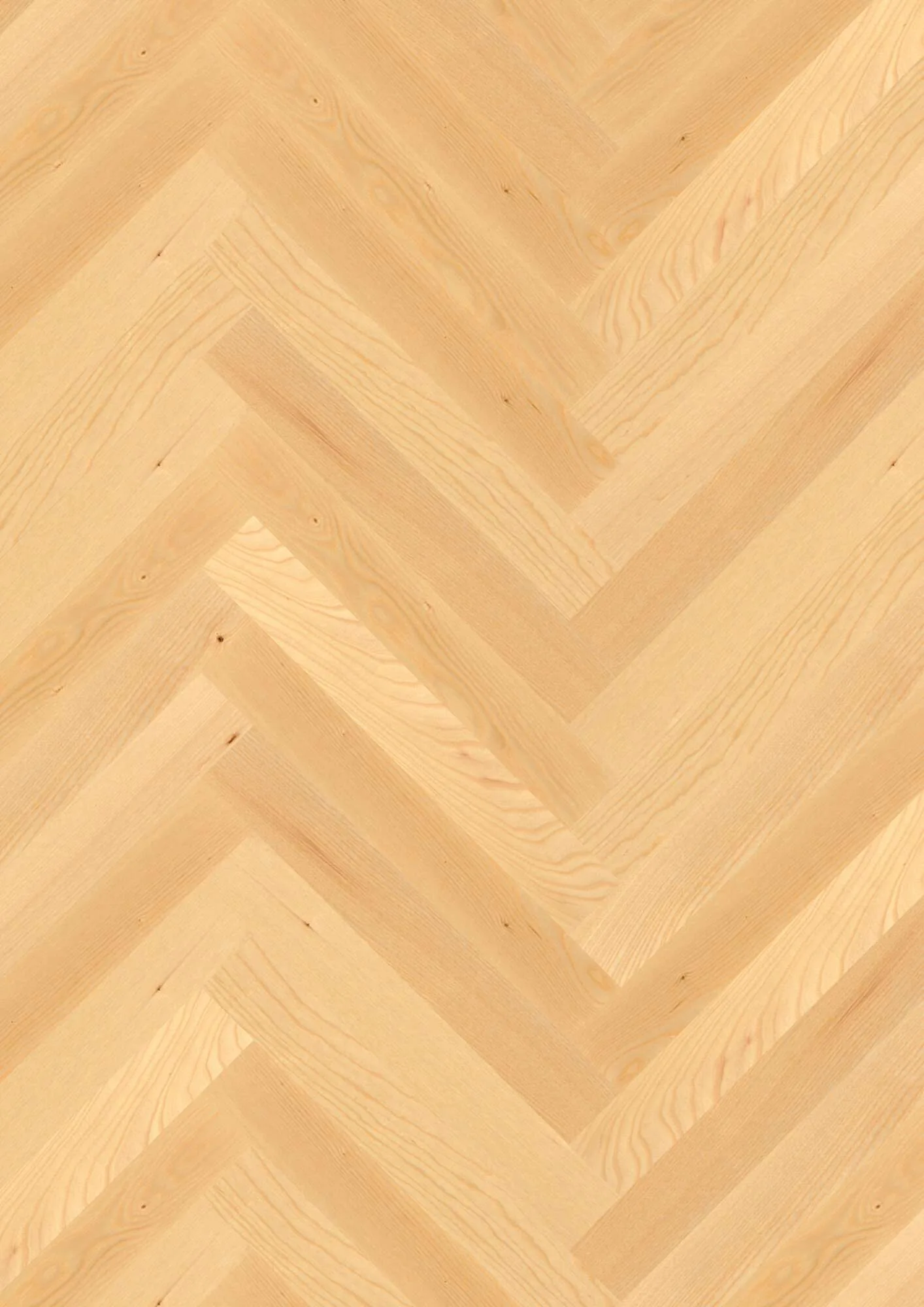 Prestige Ash Transparent Nature