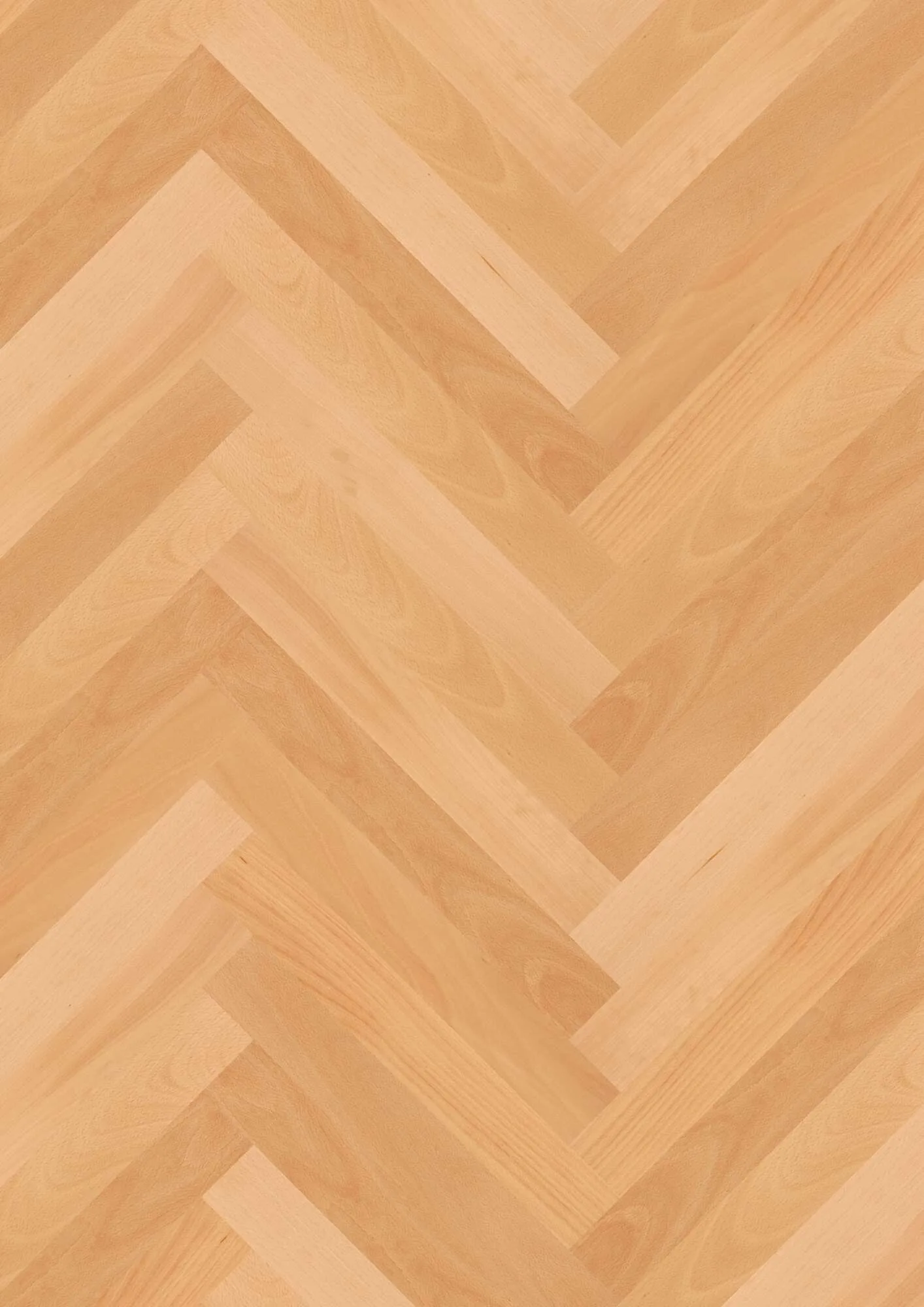Prestige Beech Transparent Nature