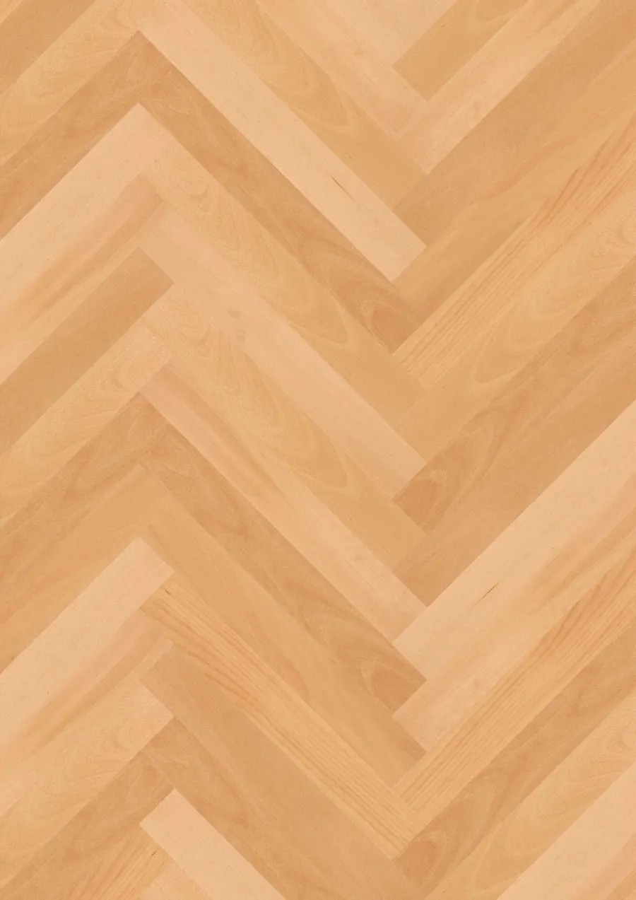 Prestige Beech Transparent Nature