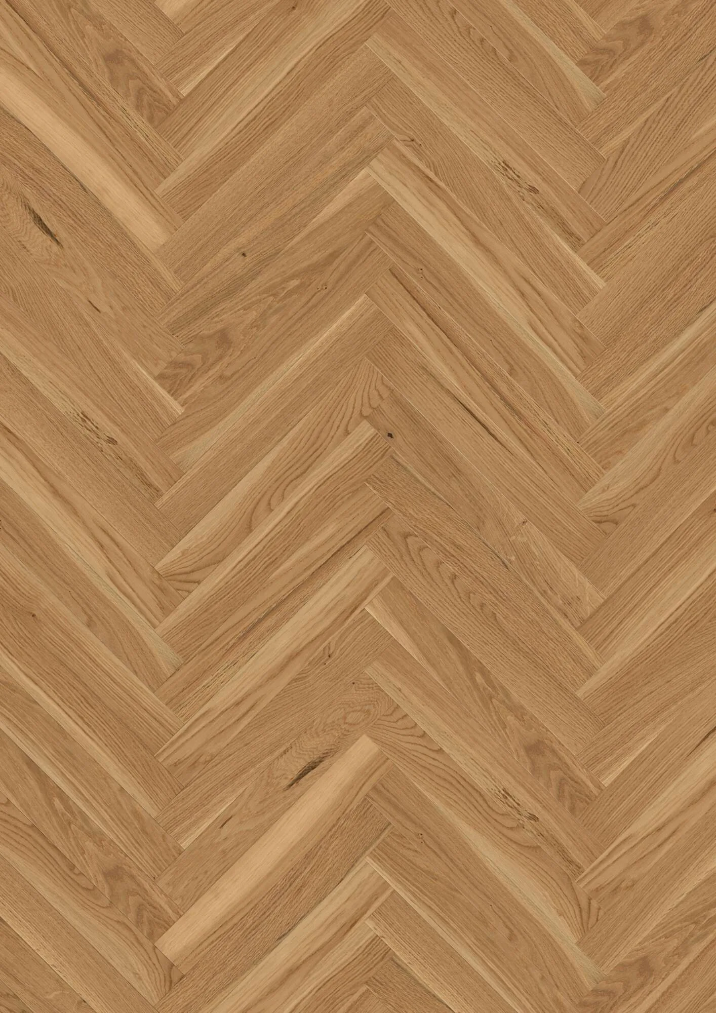Prestige Oak Transparent Structure