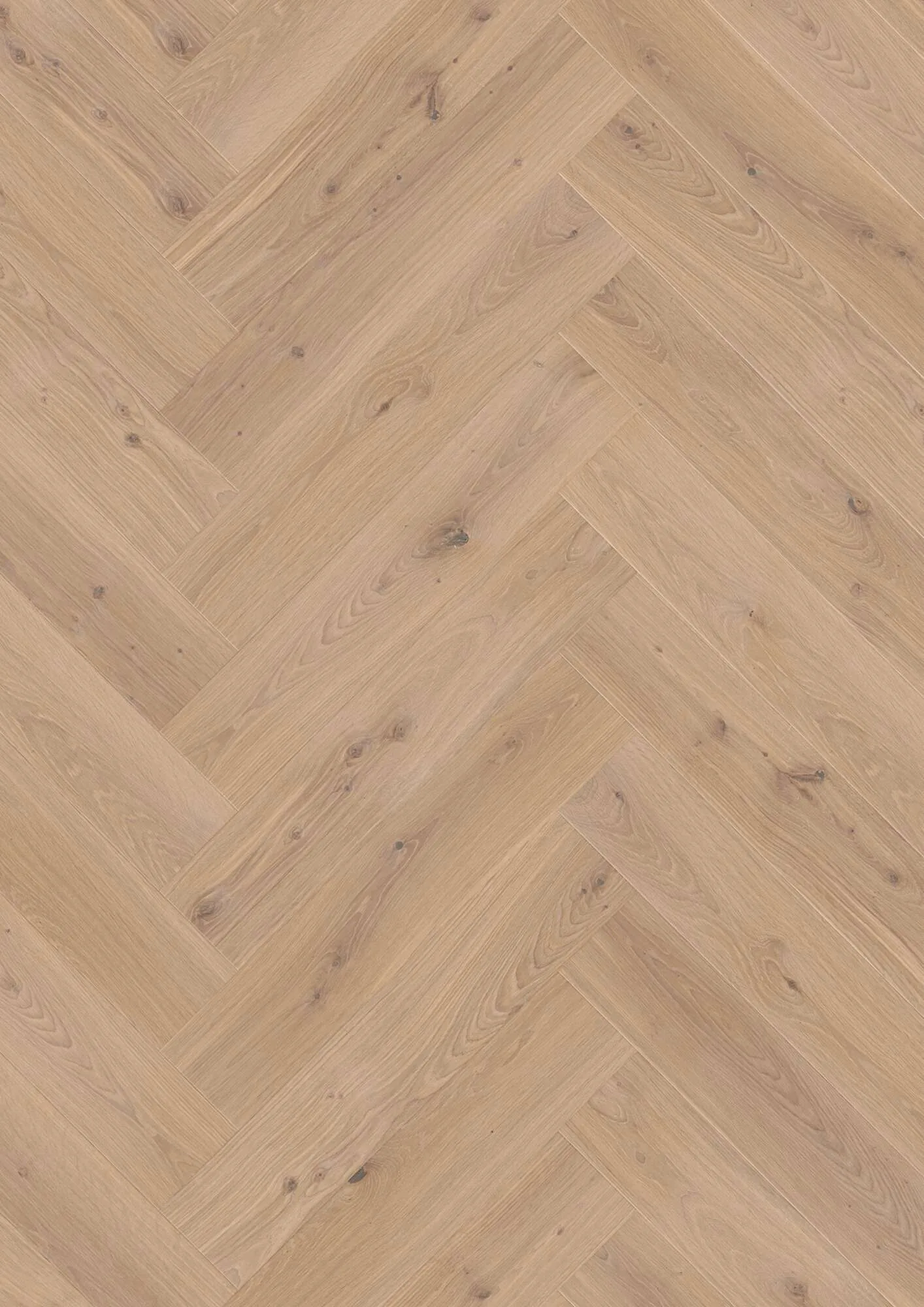 Herringbone Click Oak White Animoso