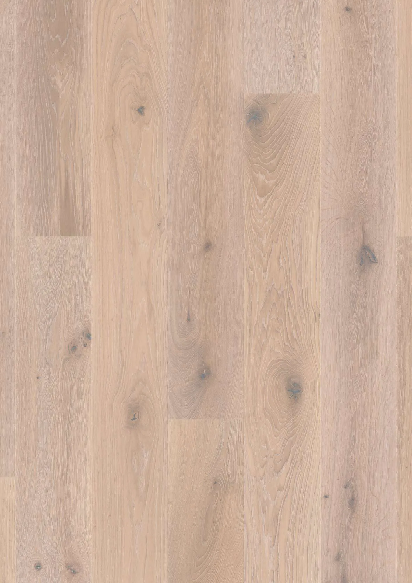 Plank Castle Oak White Nights Vivo