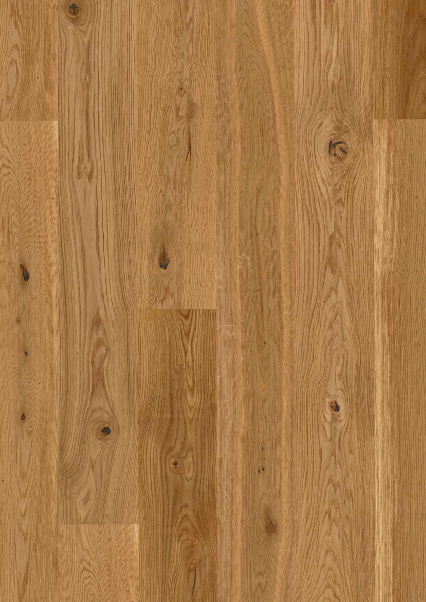 Plank Castle Oak Indian Summer Vivo