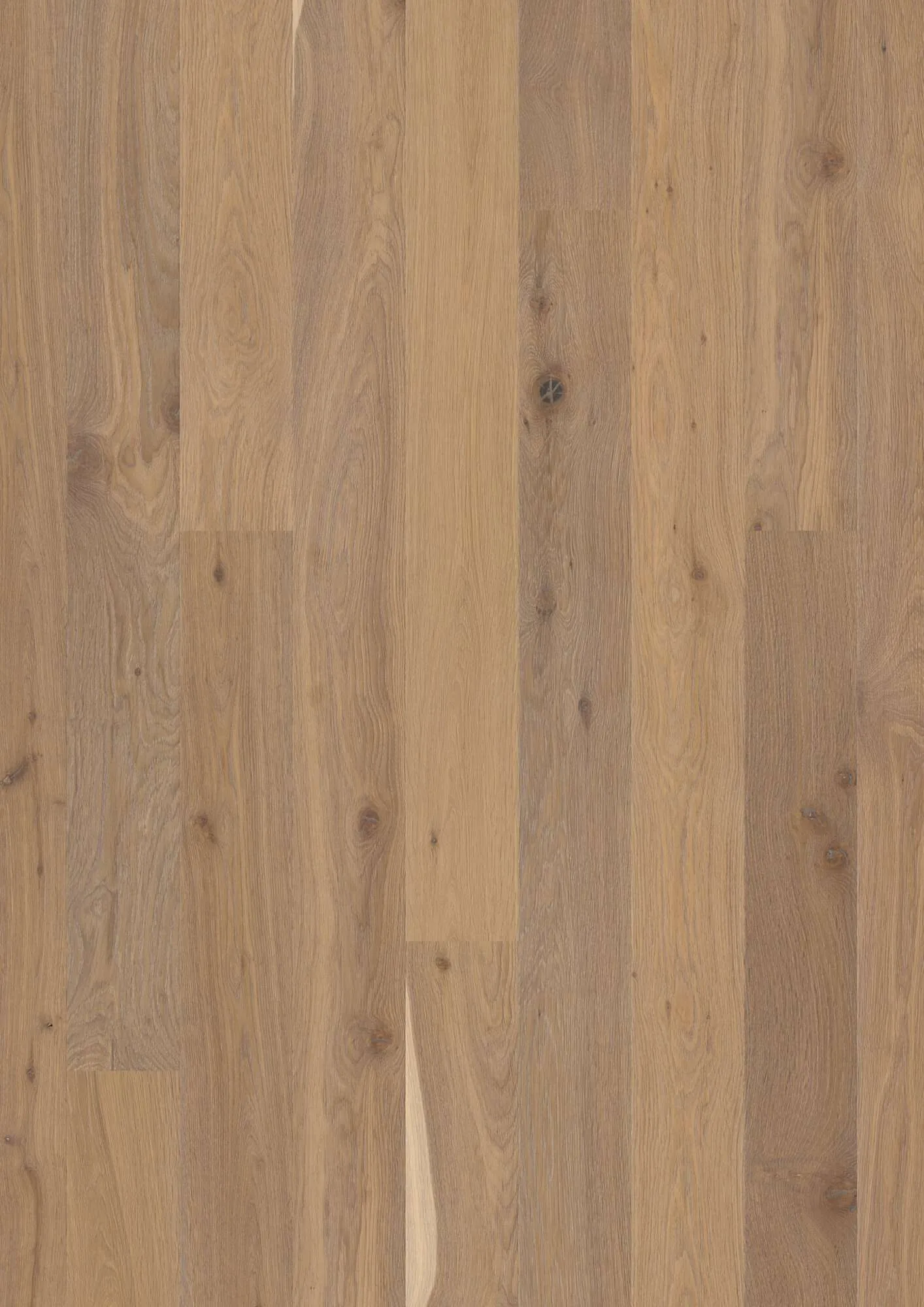 Plank Castle Oak White Semi Smoked Animoso