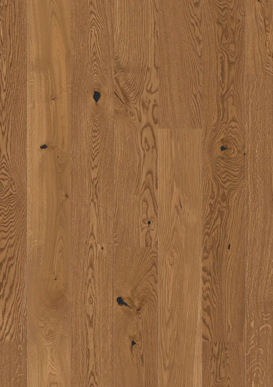 Plank 181 Oak Honey Vivo