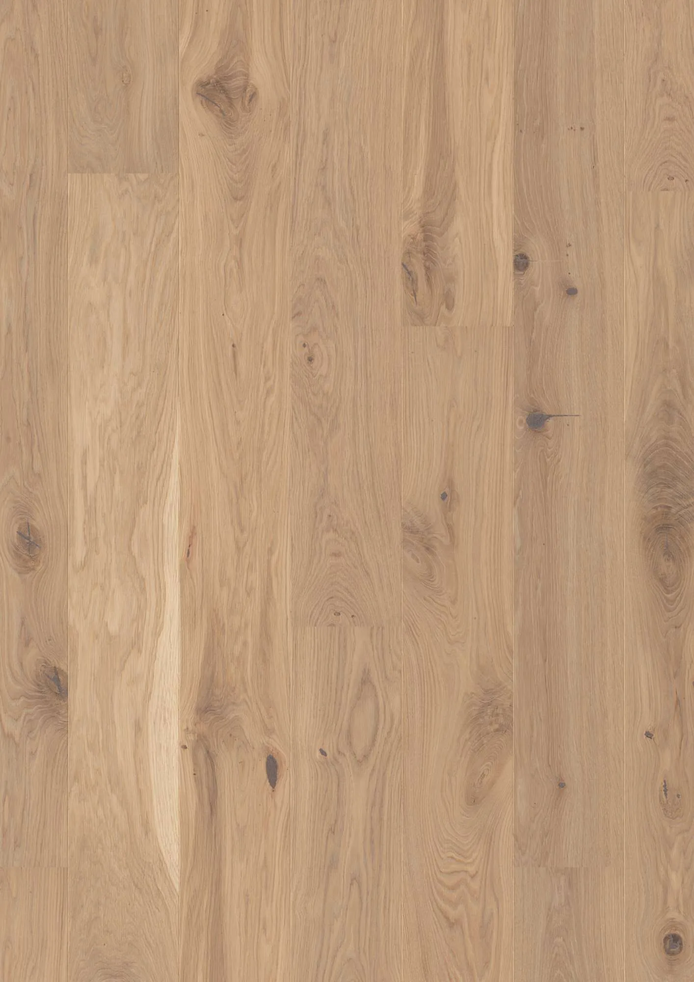 Plank 181 Oak Transparent Vivo