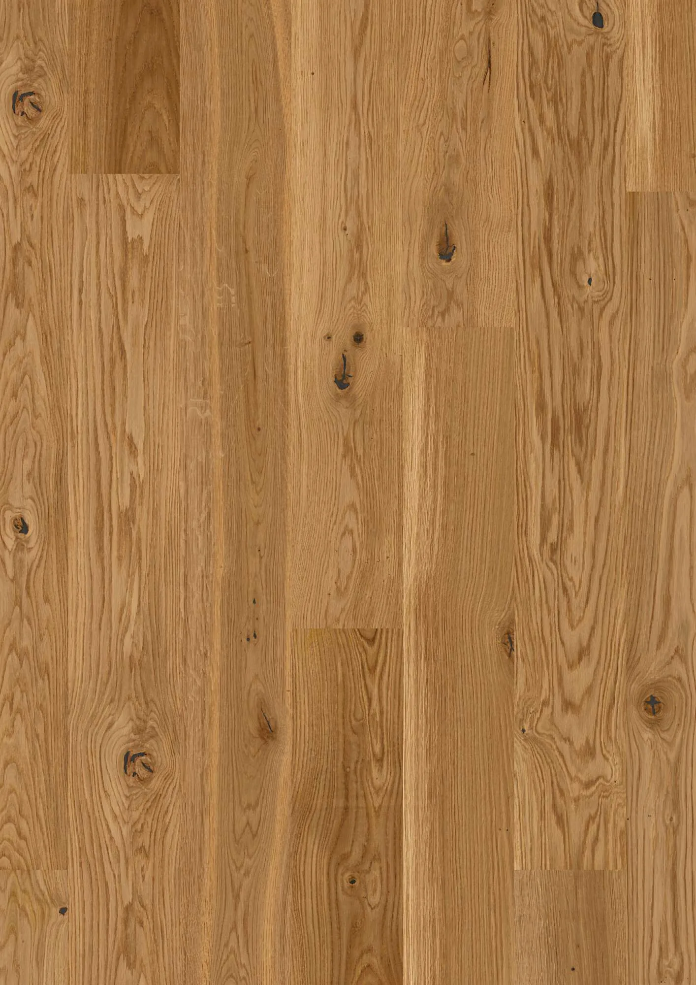 Plank 181 Oak Indian Summer Vivo