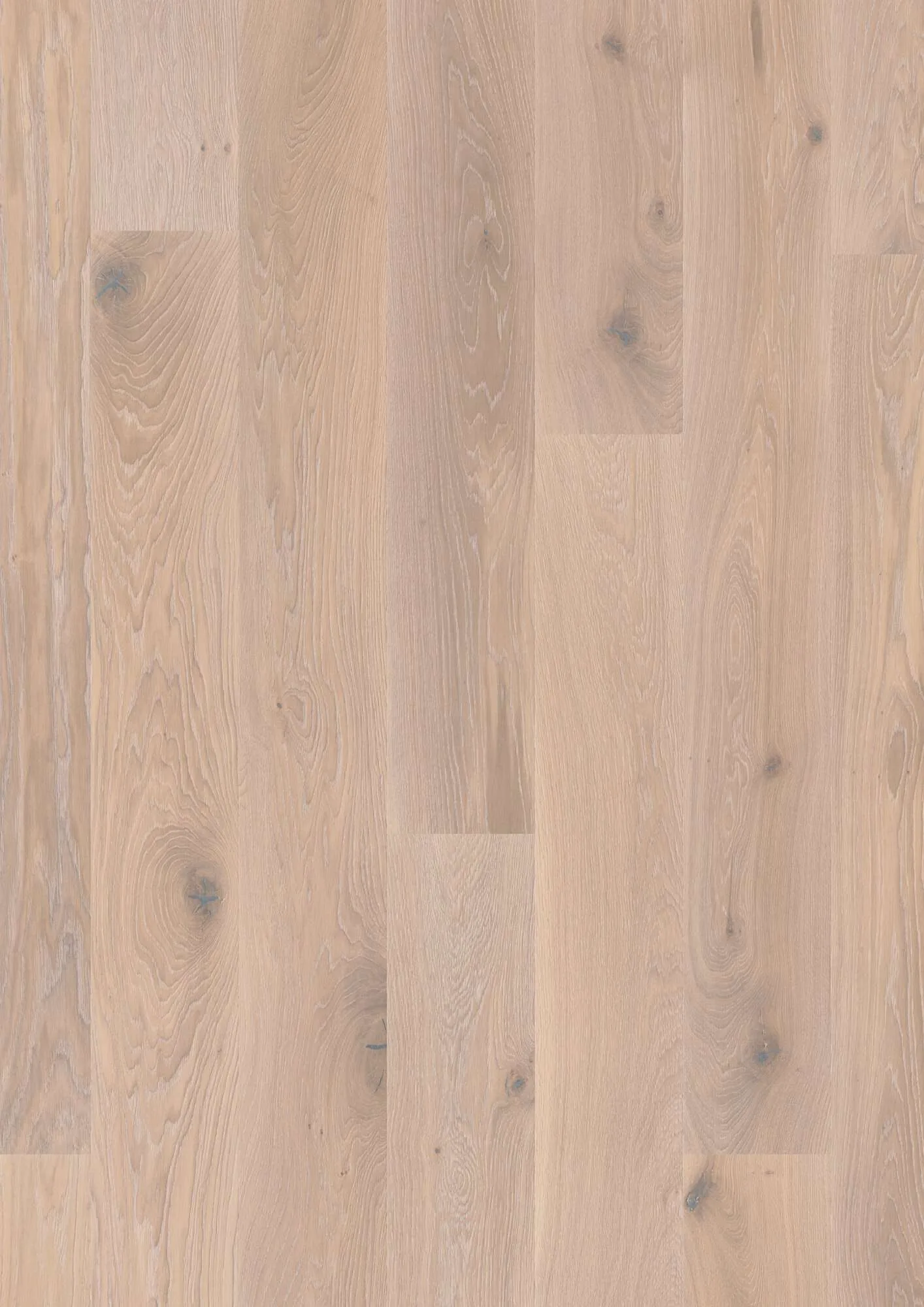 Plank 181 Oak White Nights Vivo