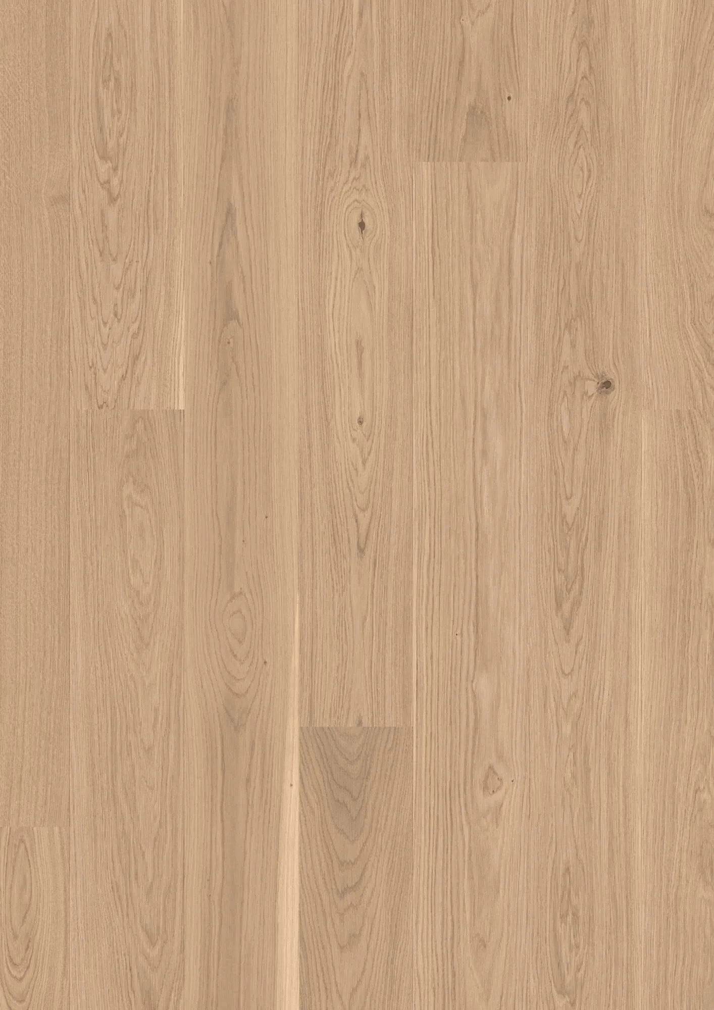 Plank 181 Oak Transparent Andante