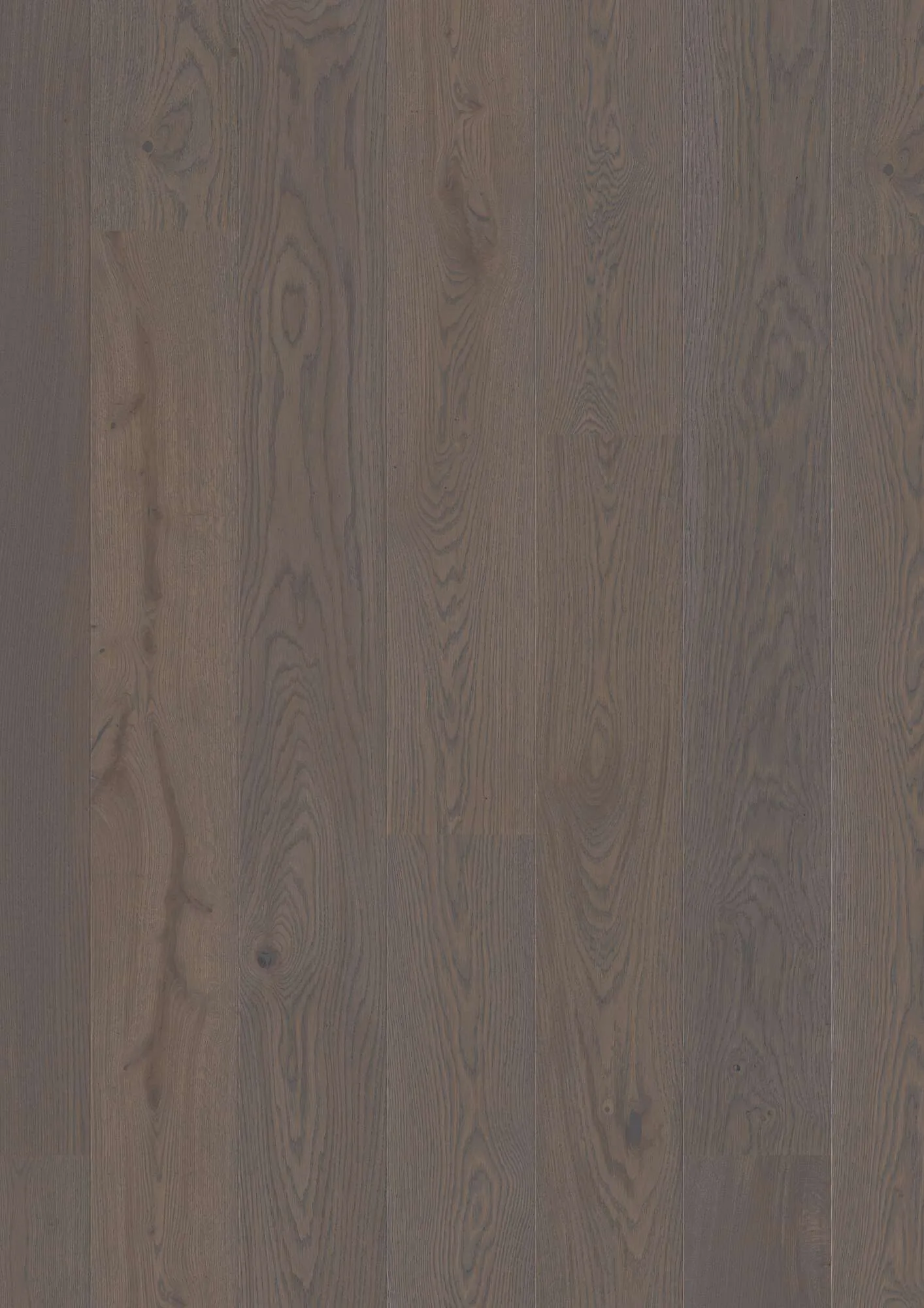 Plank 181 Oak Grey Pepper Animoso