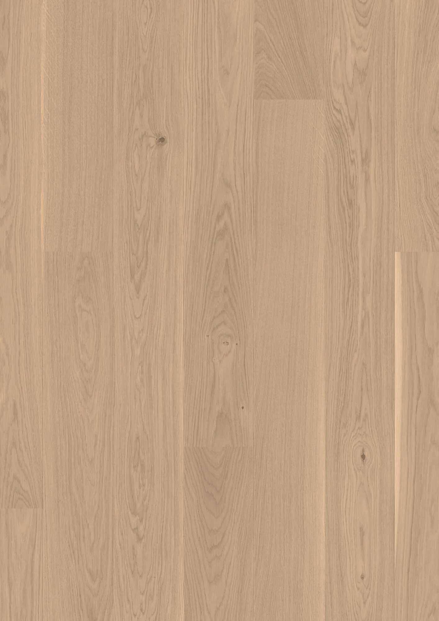 Plank 181 Oak White Andante