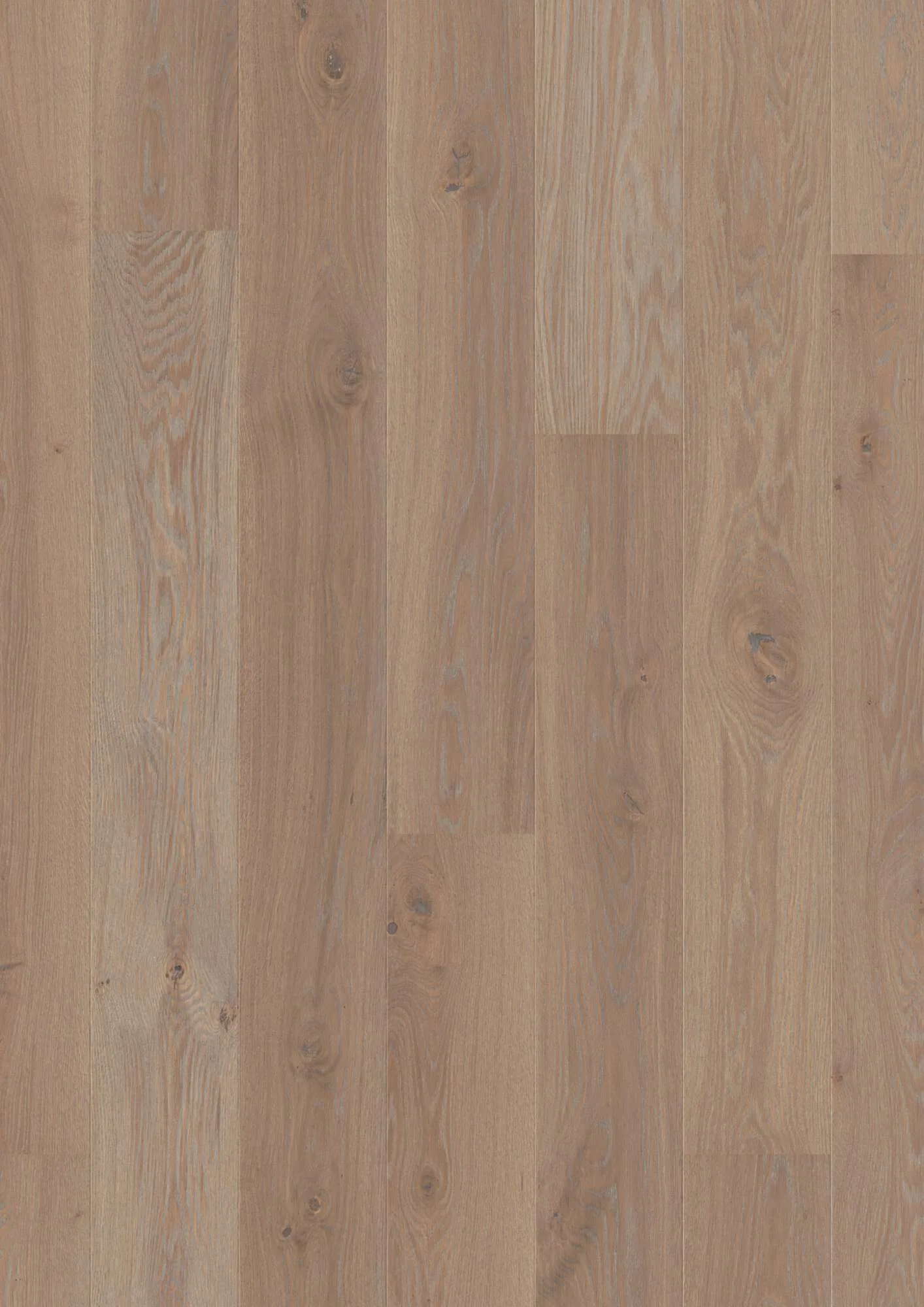 Plank 181 Oak Warm Grey Animoso