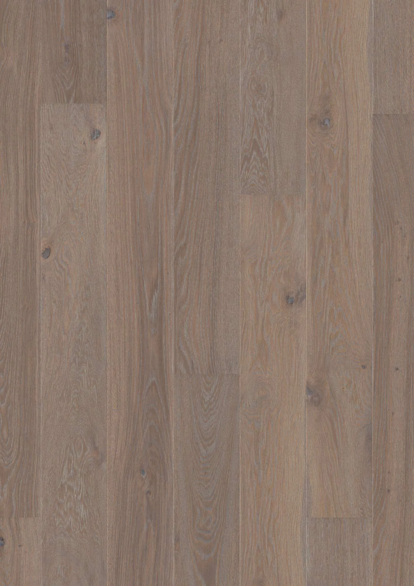 Plank 181 Oak India Grey Animoso