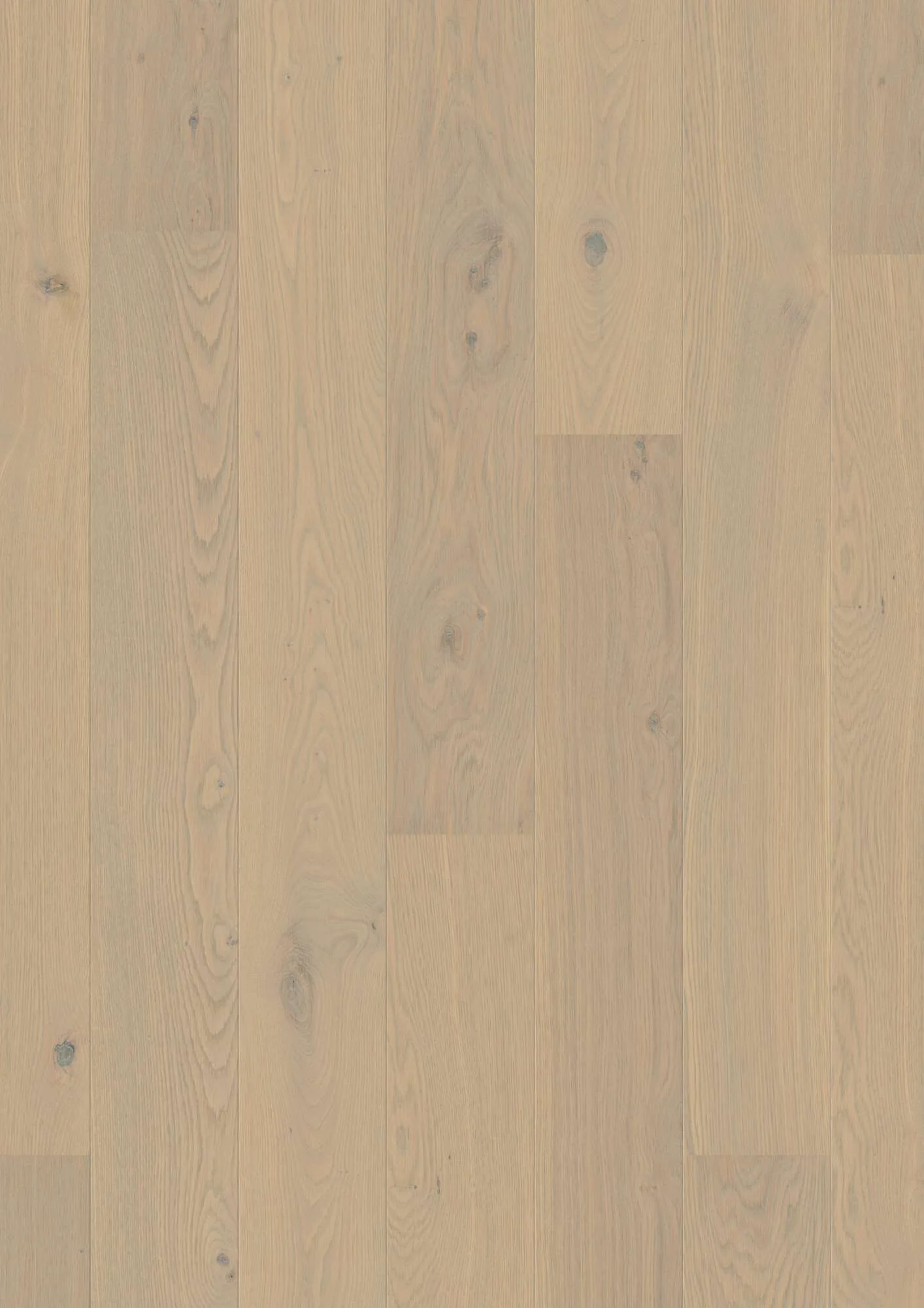 Plank 181 Oak Warm Cotton Animoso