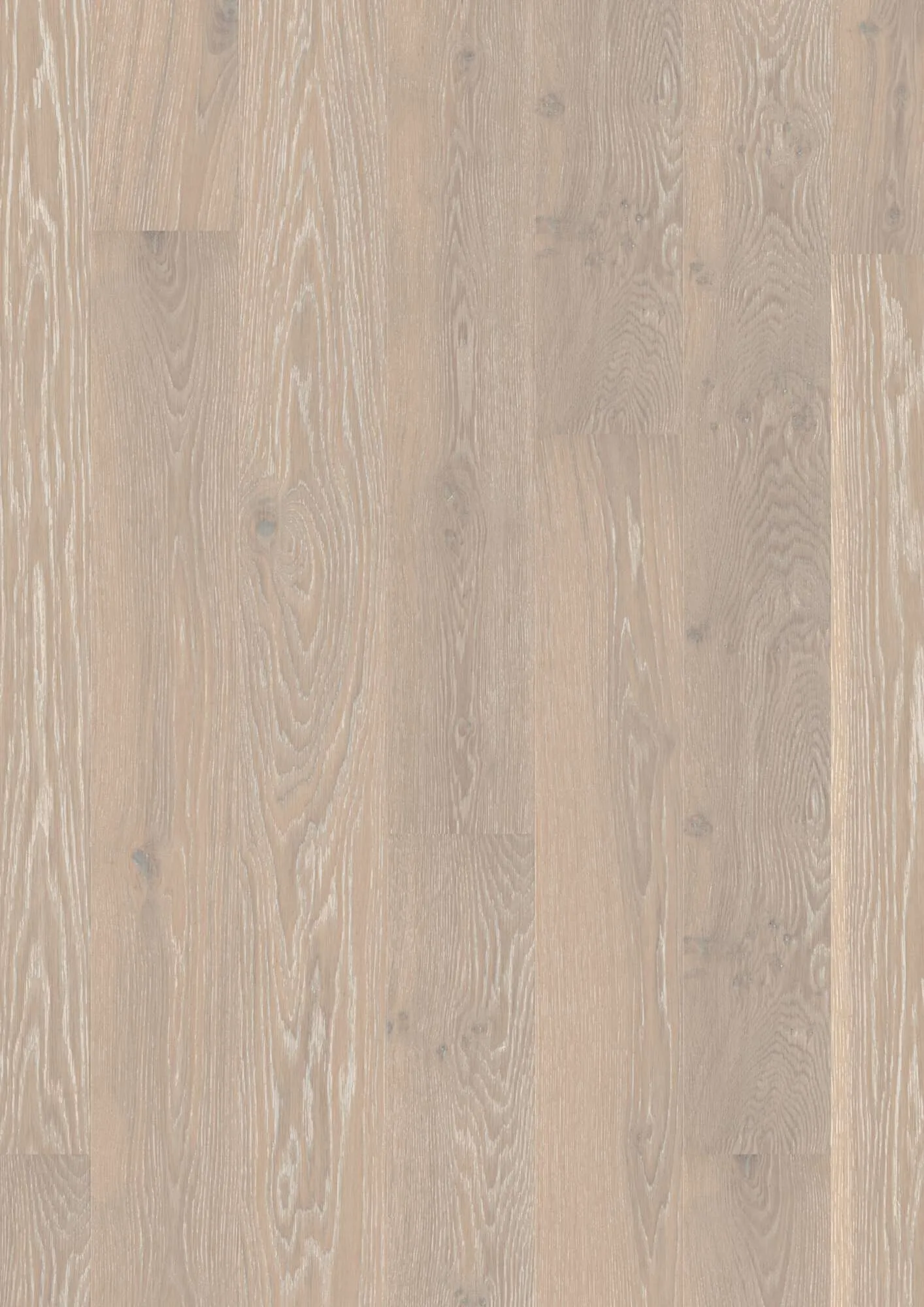 Plank 181 Oak Grey Harmony Animoso