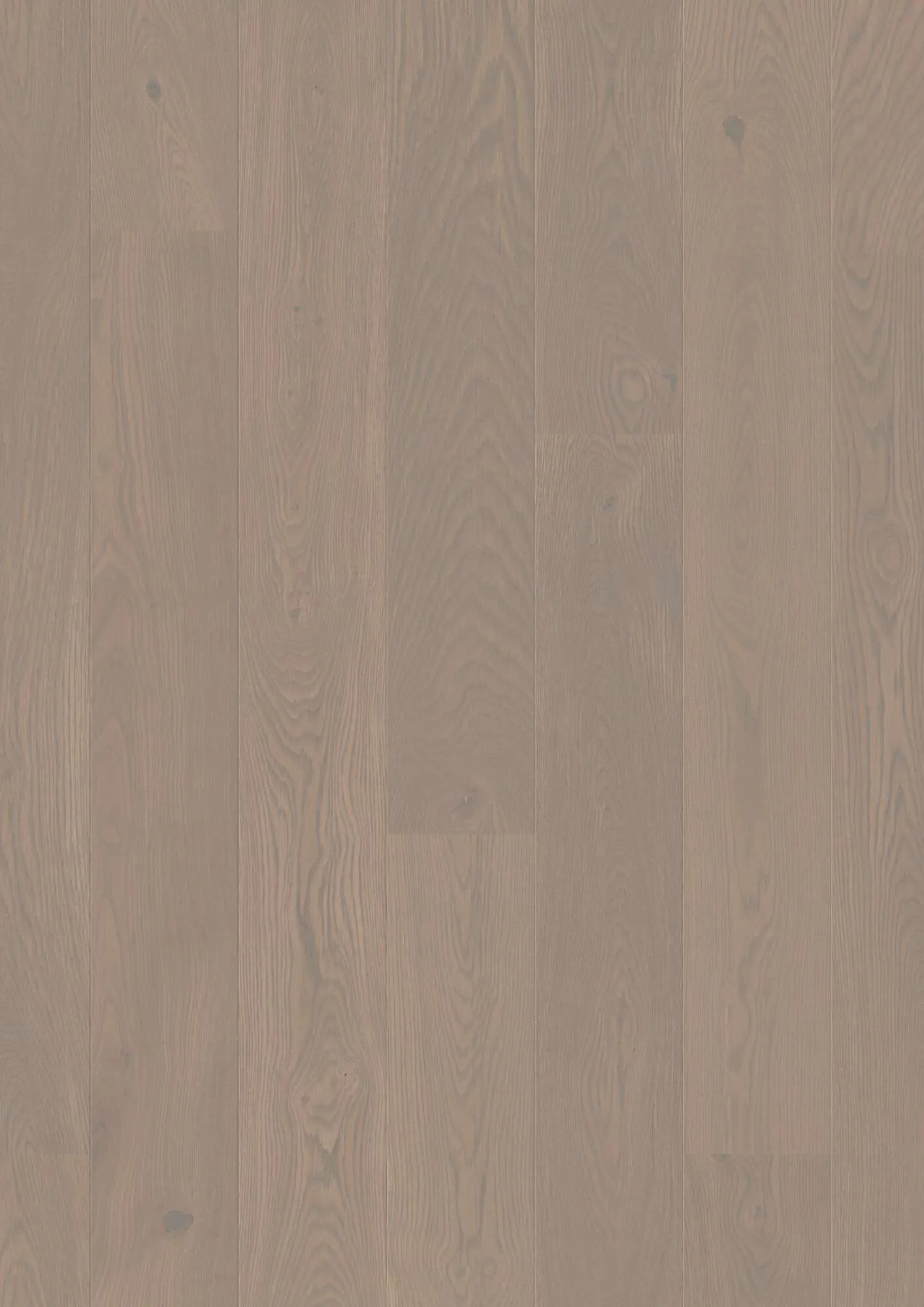 Plank 181 Oak Horizon Animoso