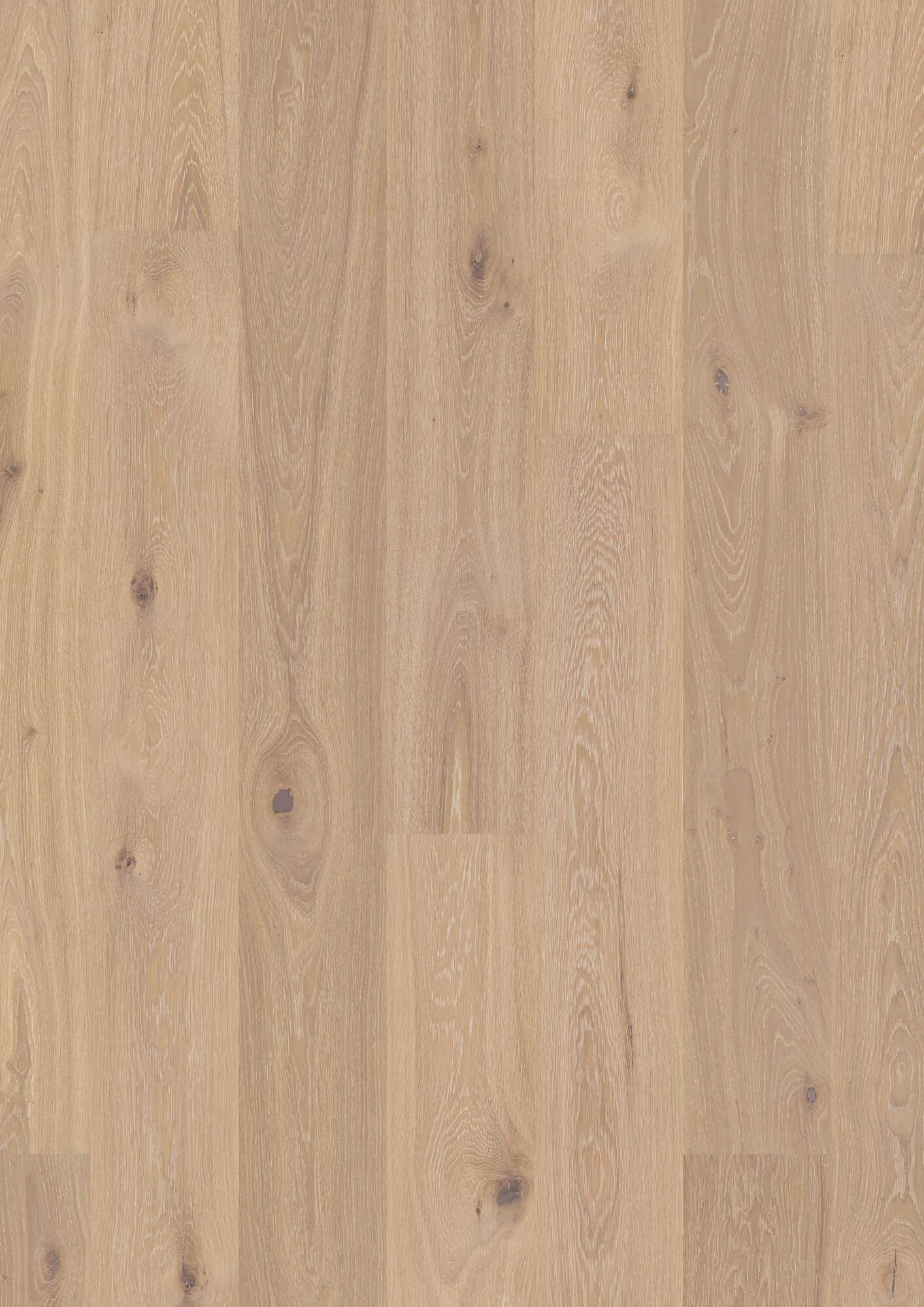Plank 181 Oak Coral Animoso
