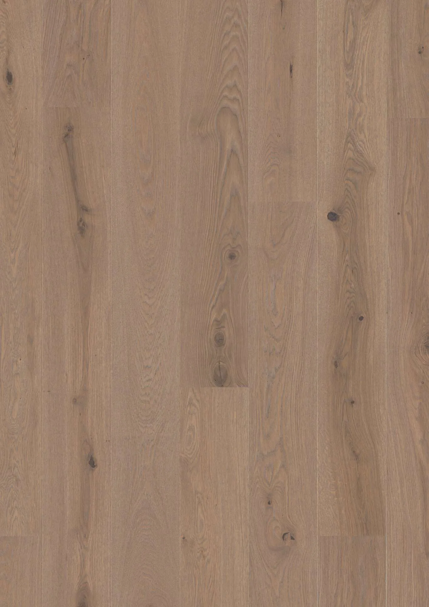 Plank 181 Oak Sand Animoso
