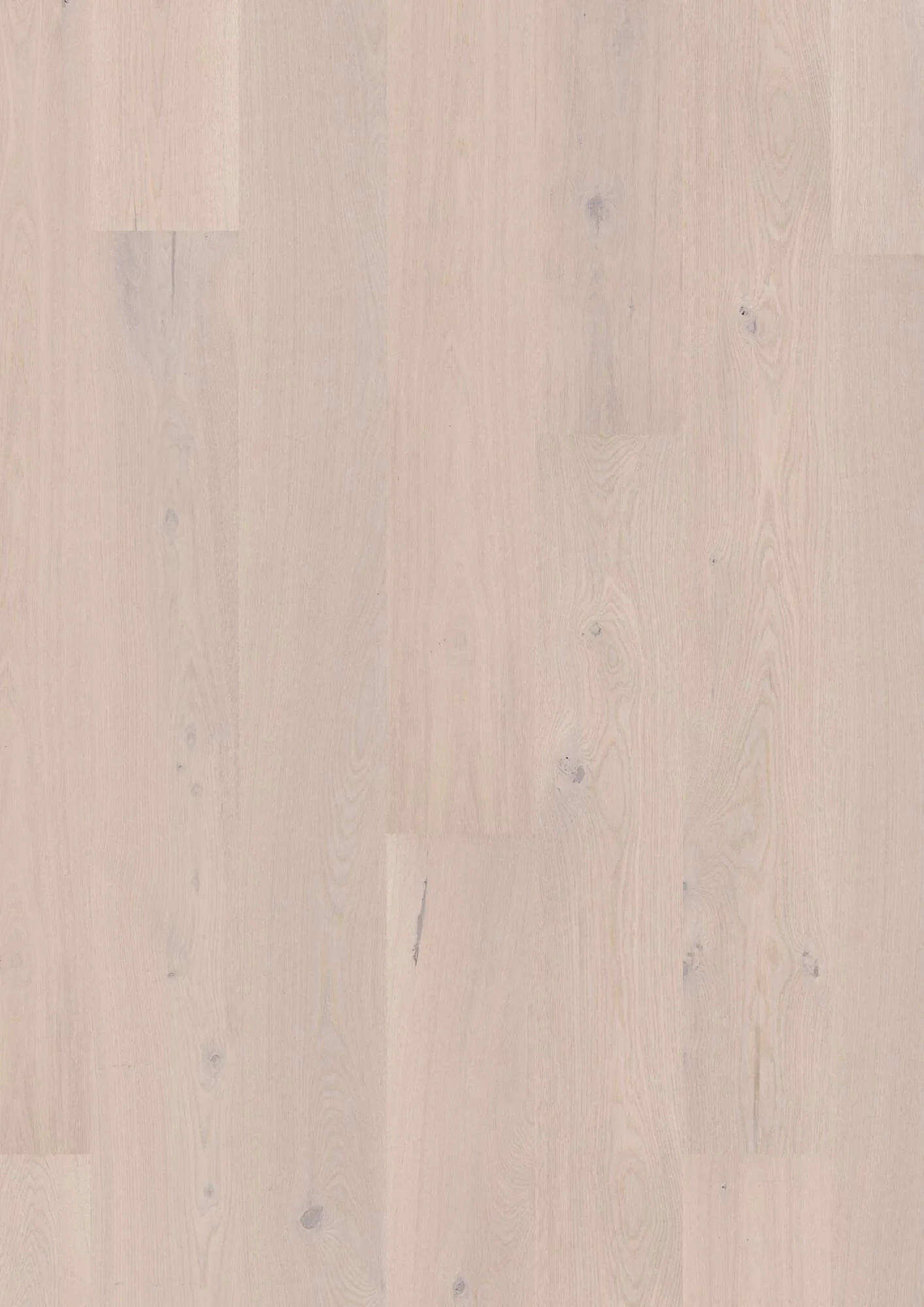 Plank 181 Oak Pearl Animoso