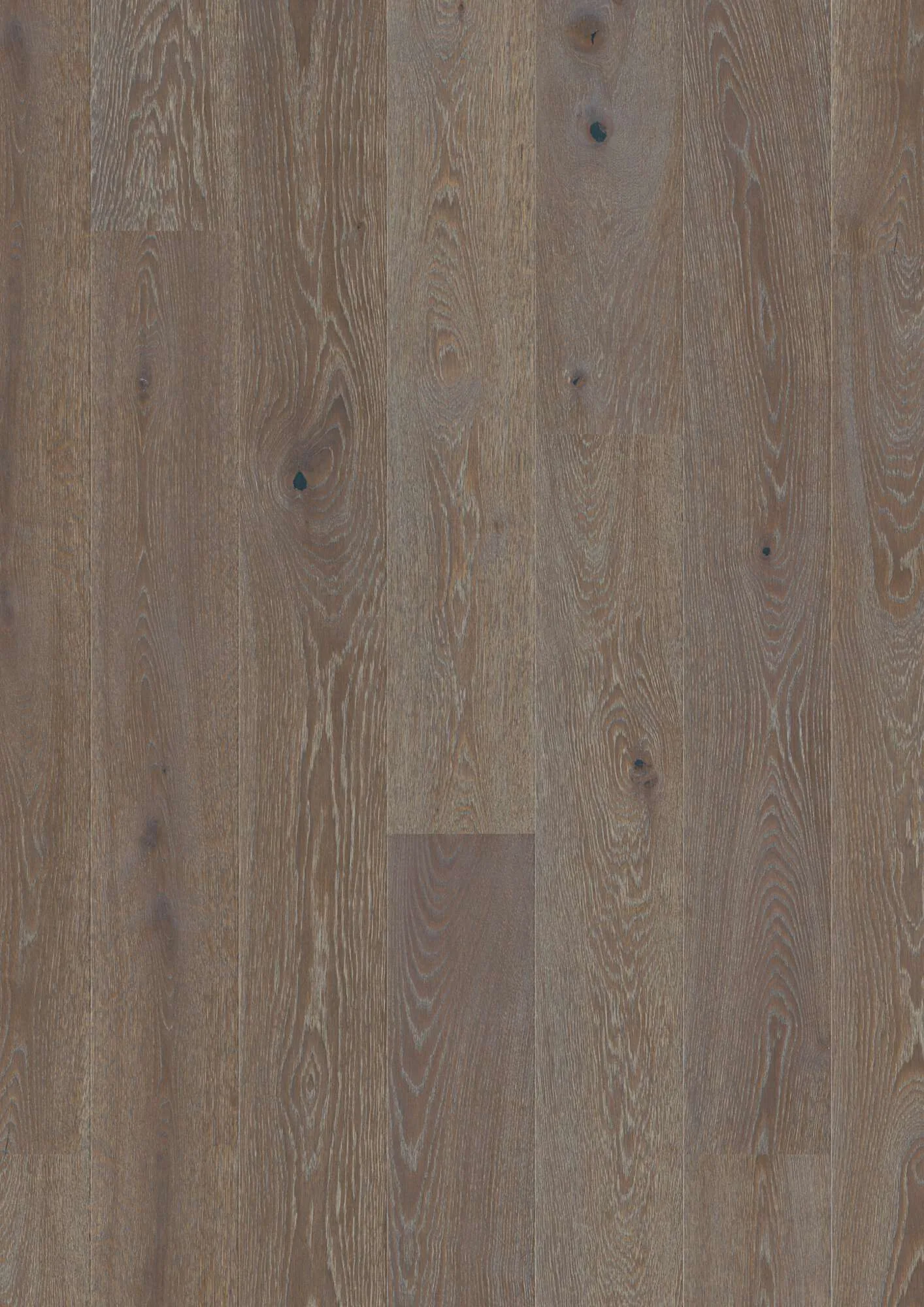 Plank 181 Oak Graphite Vivo