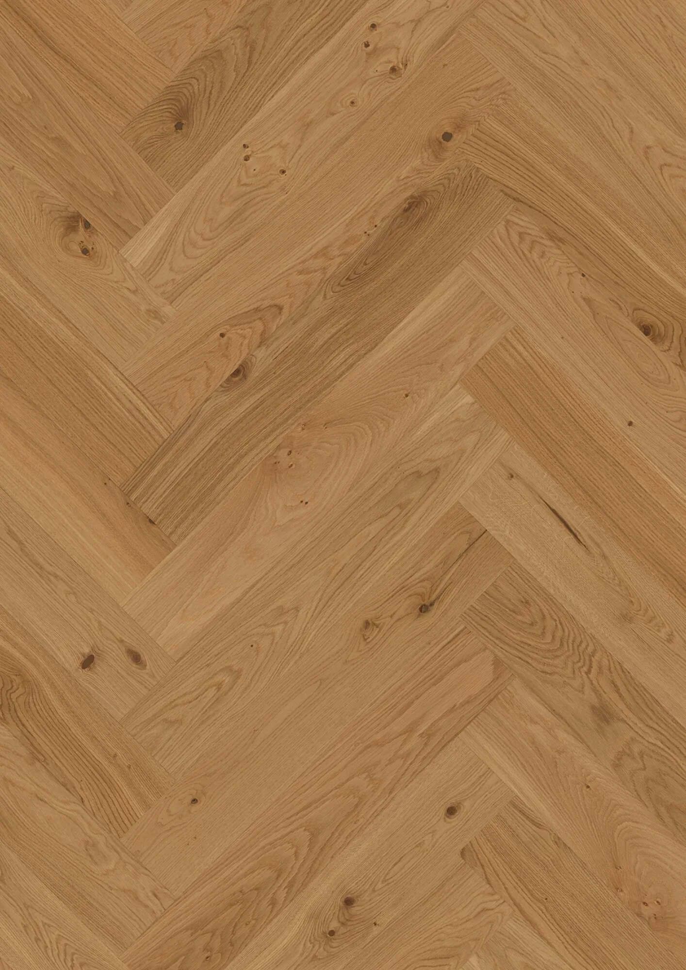 Herringbone T/g Oak Transparent Animoso