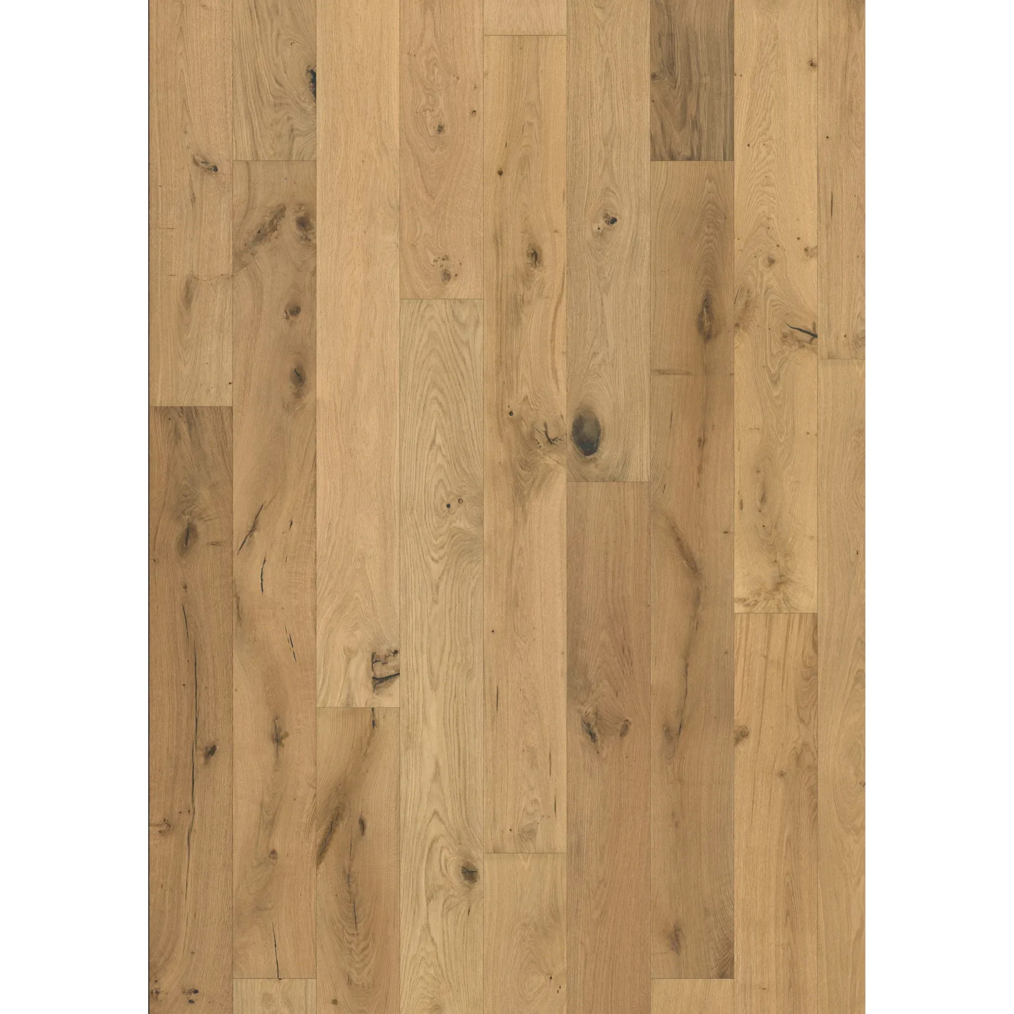 Oak Lynx Ultra Matt