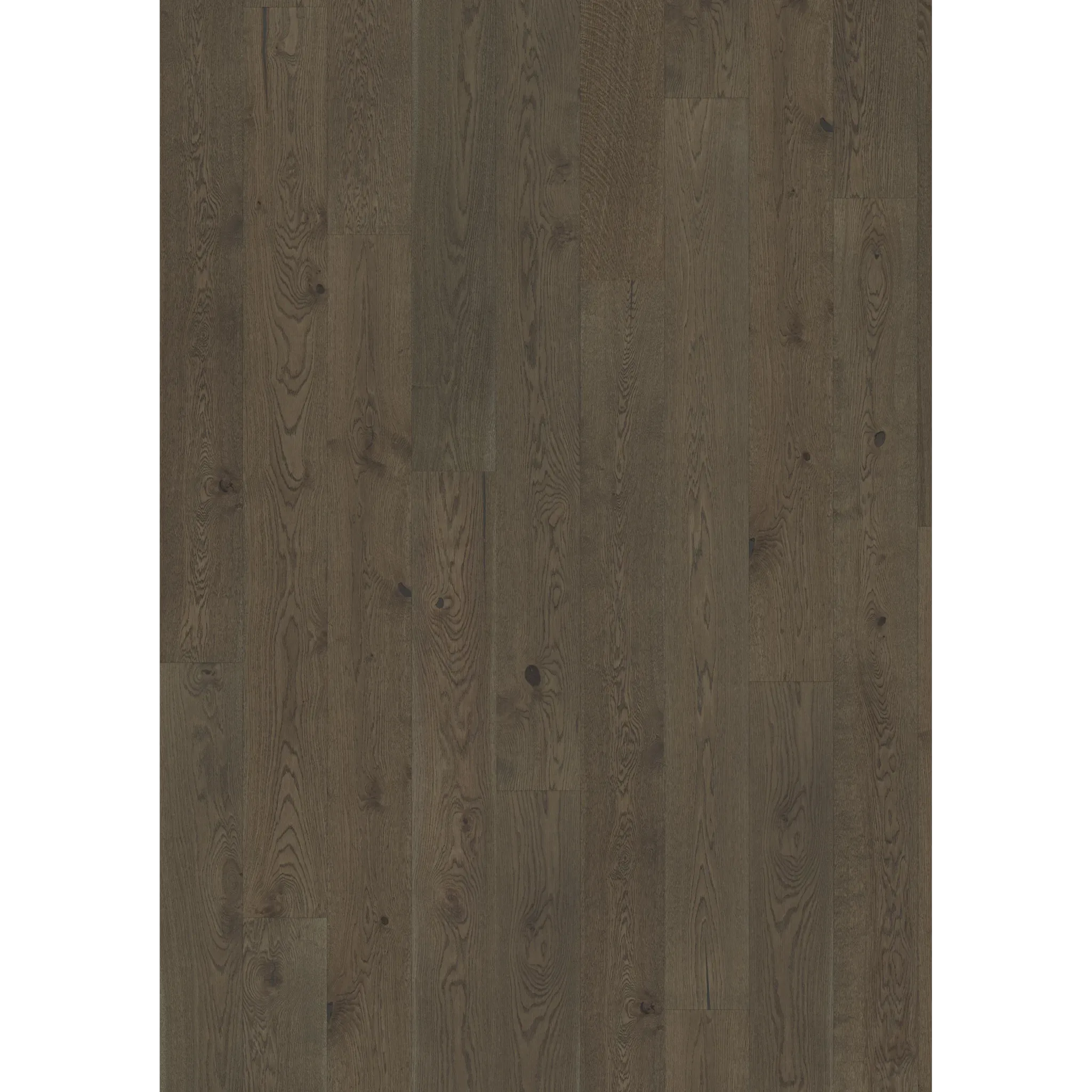 Oak Charcoal Light Plank