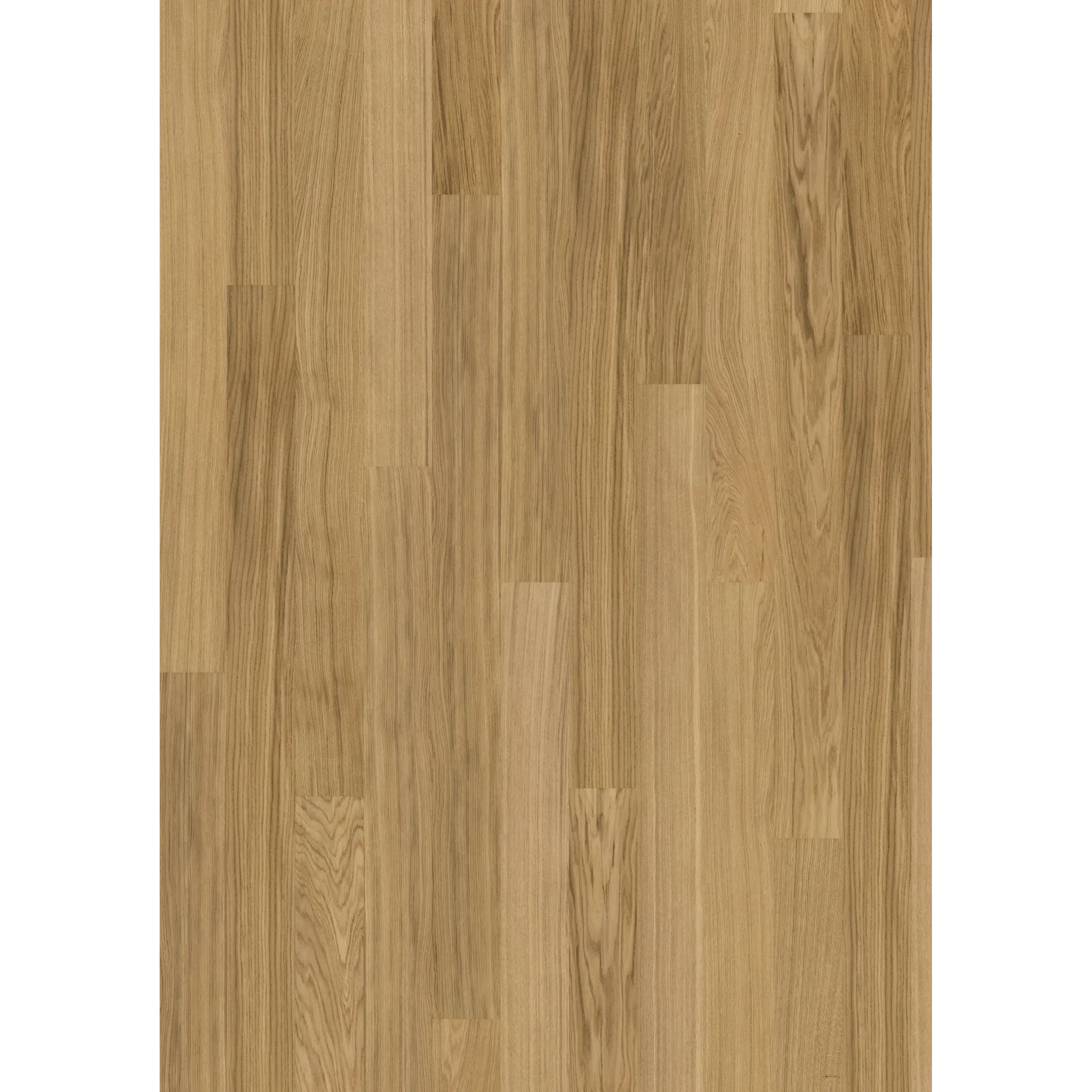 Pure Oak Wide