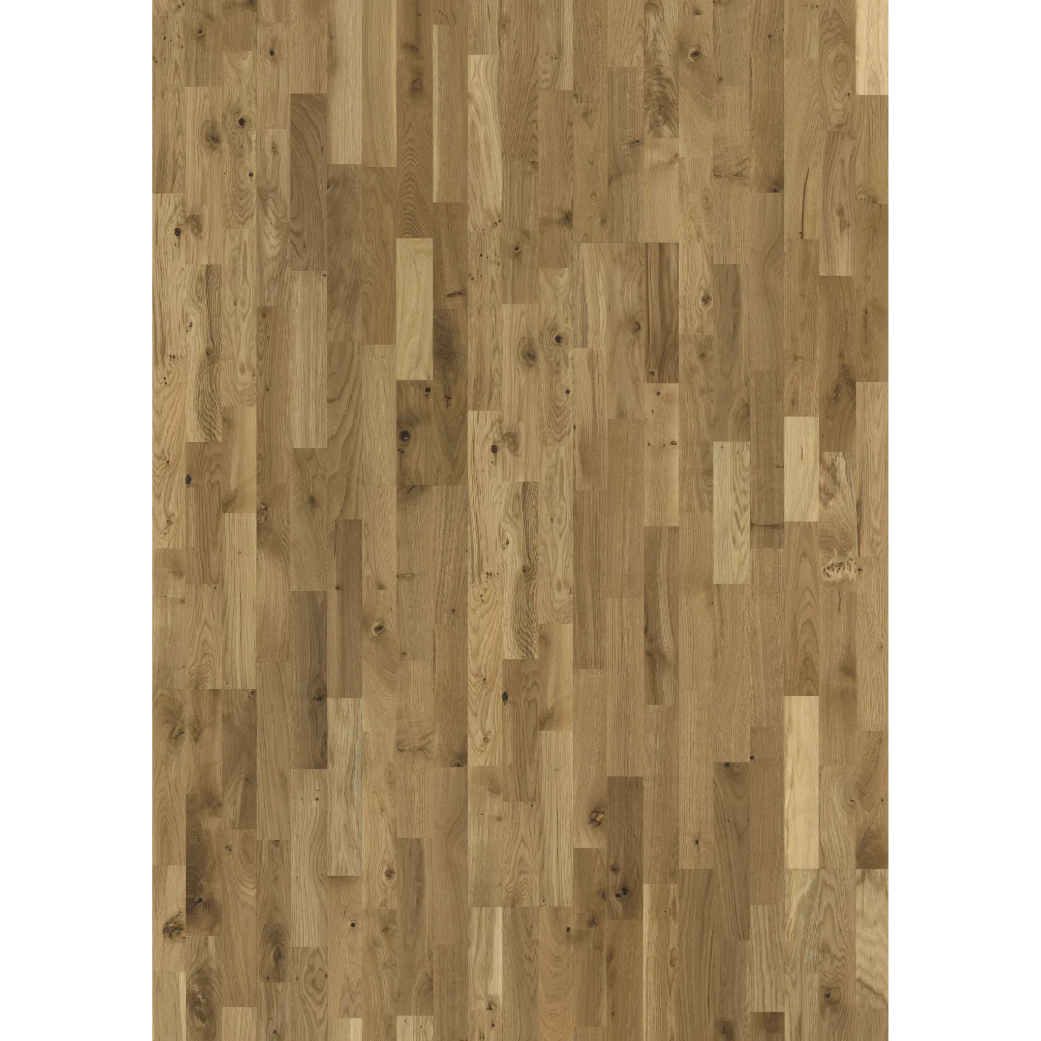 Oak Erve Matt