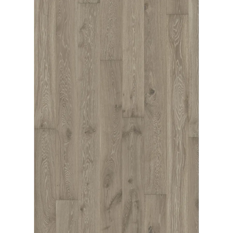 Oak Nouveau Gray