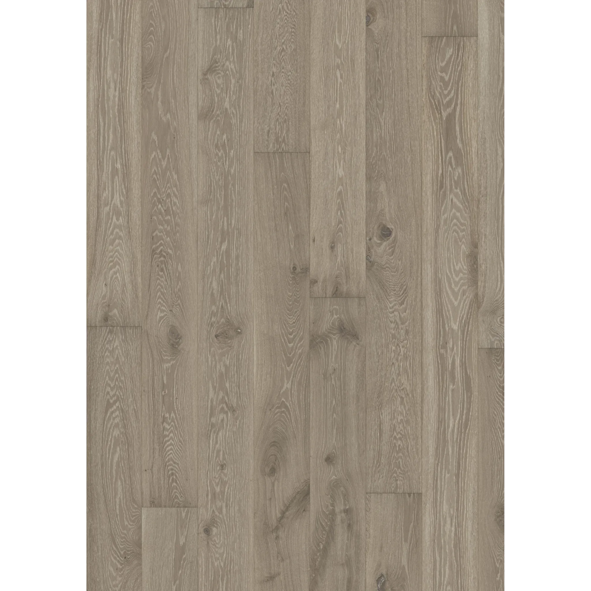 Oak Nouveau Gray