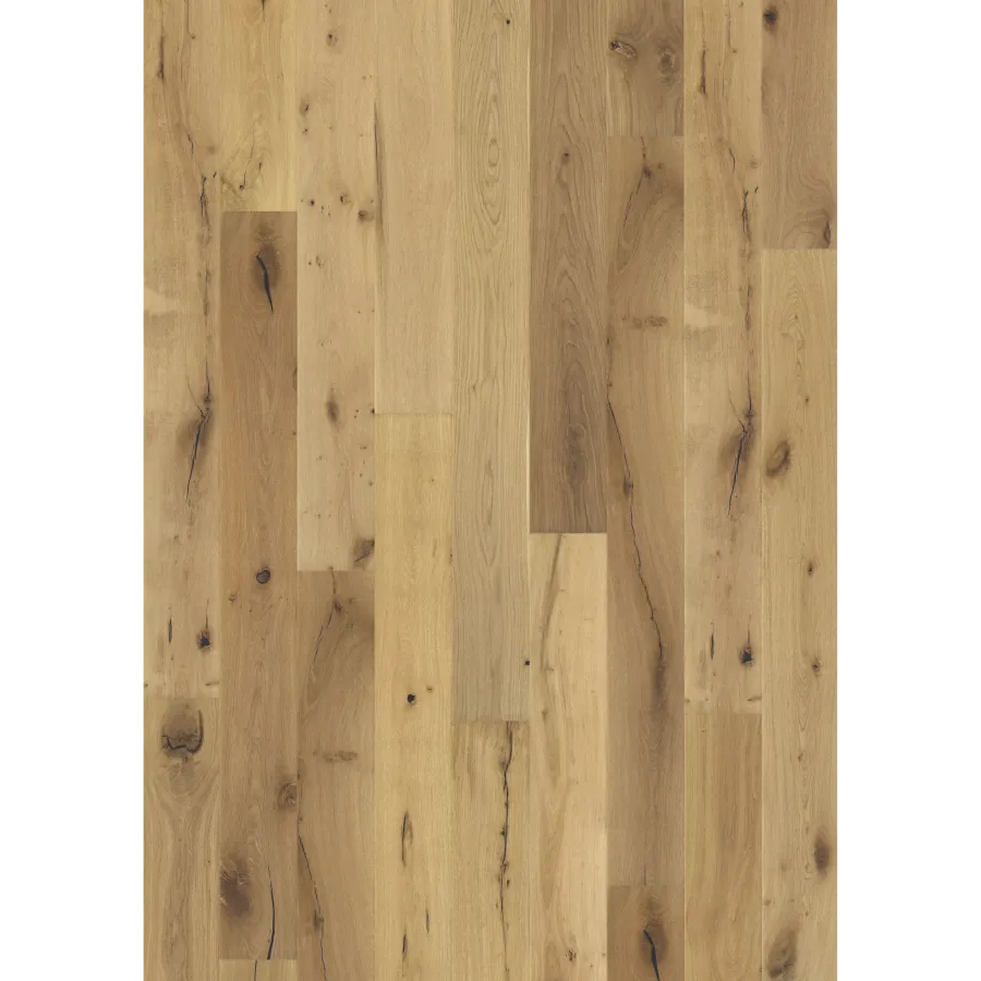 Oak Paglia