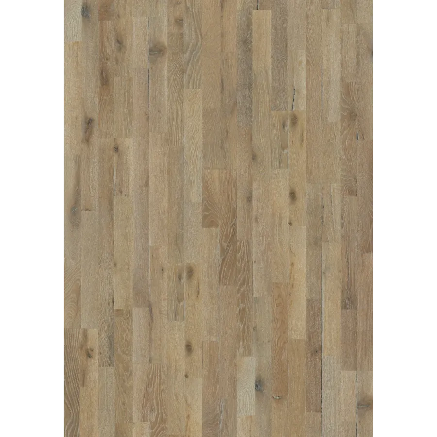Oak Dussato