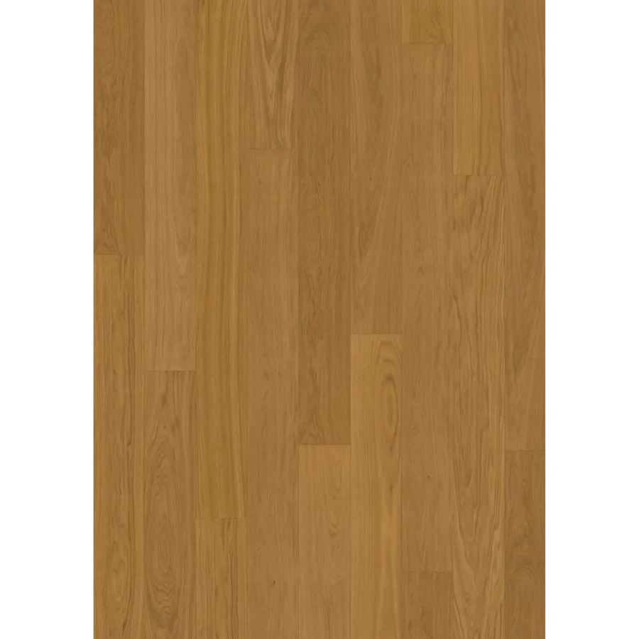Oak Cloves Plank