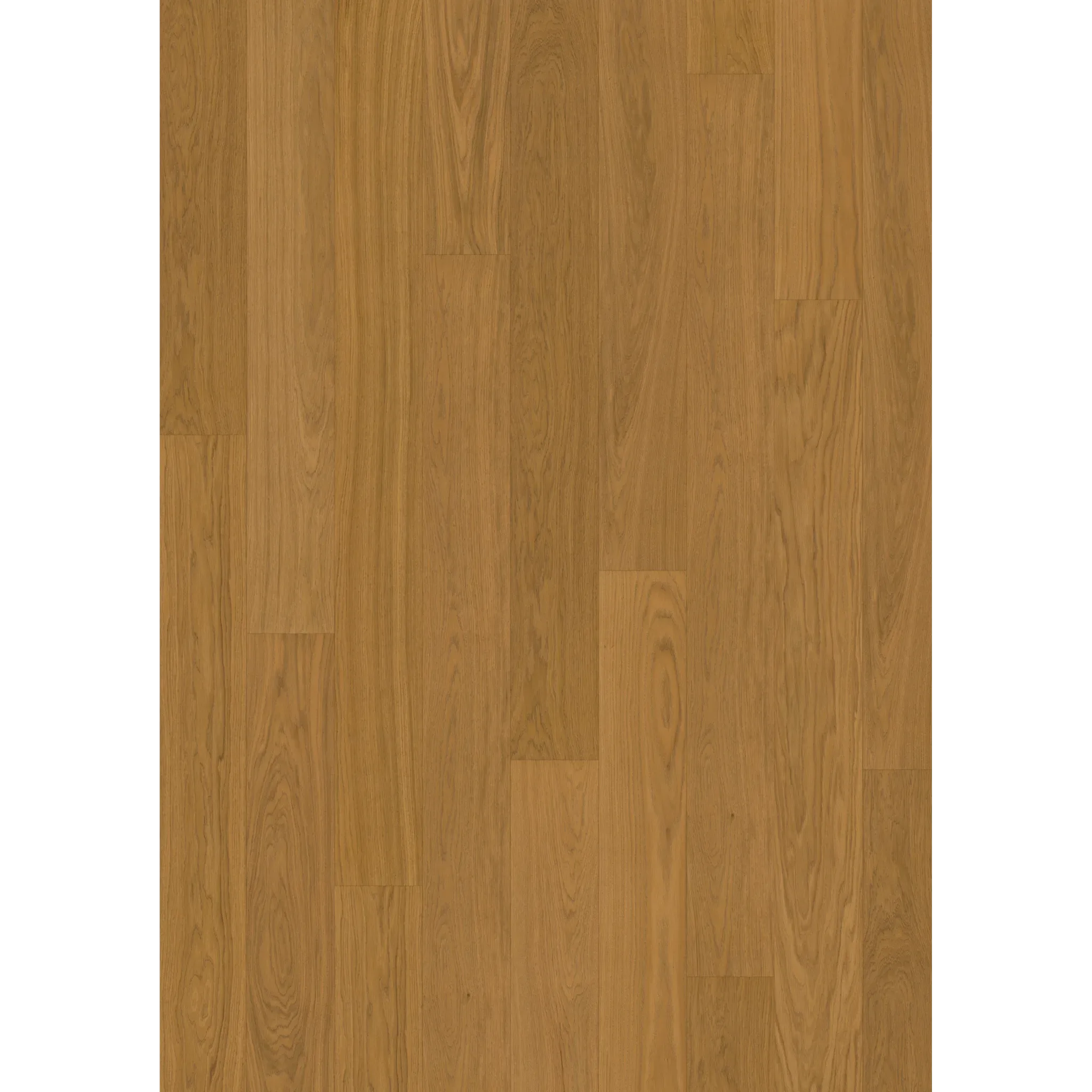 Oak Cloves Plank