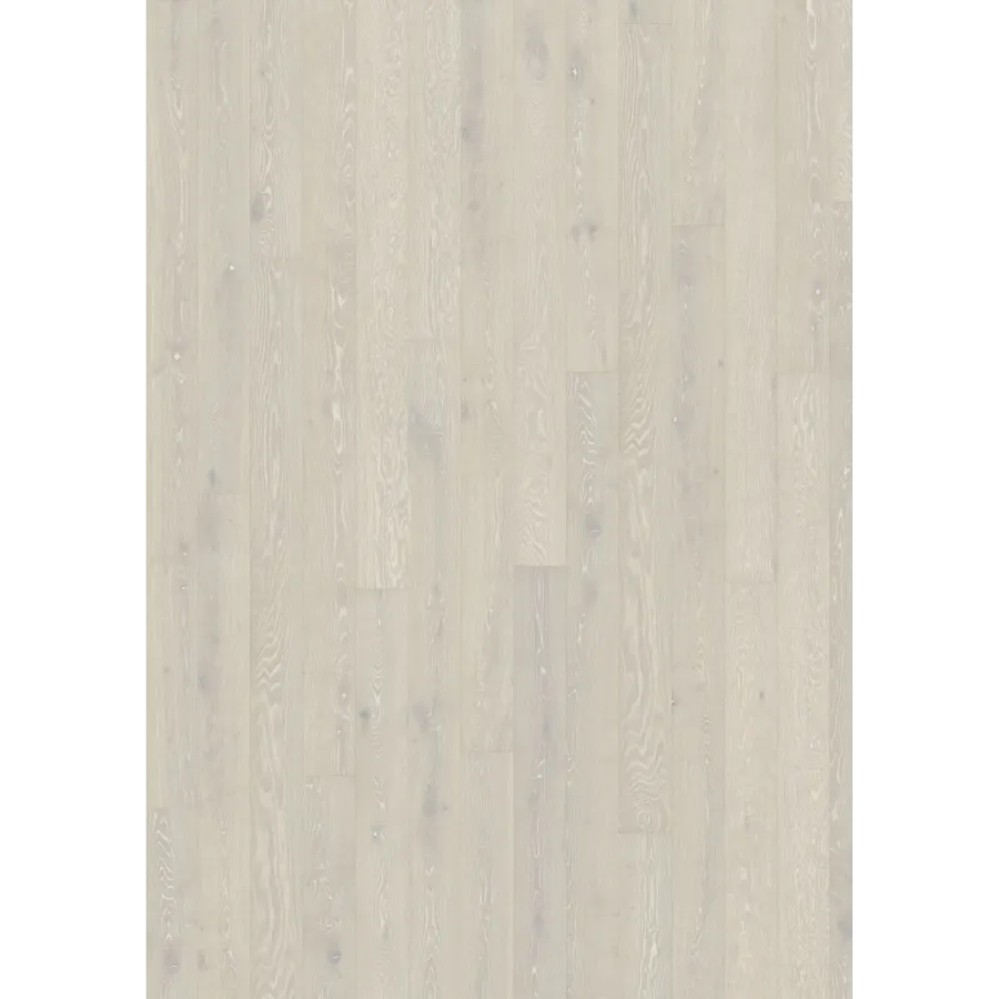 Oak Bright