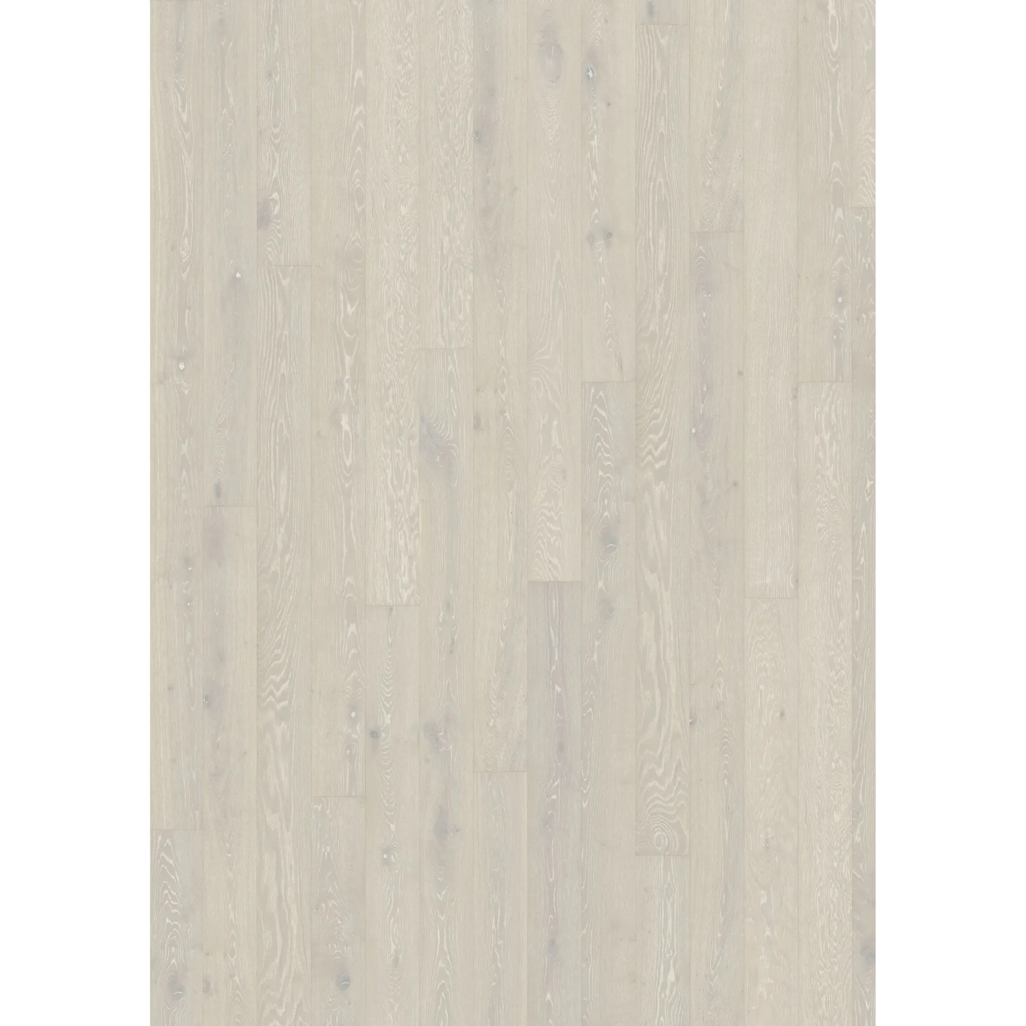 Oak Bright