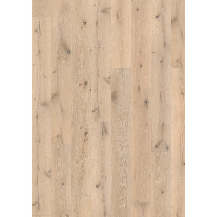 Oak Zephyr