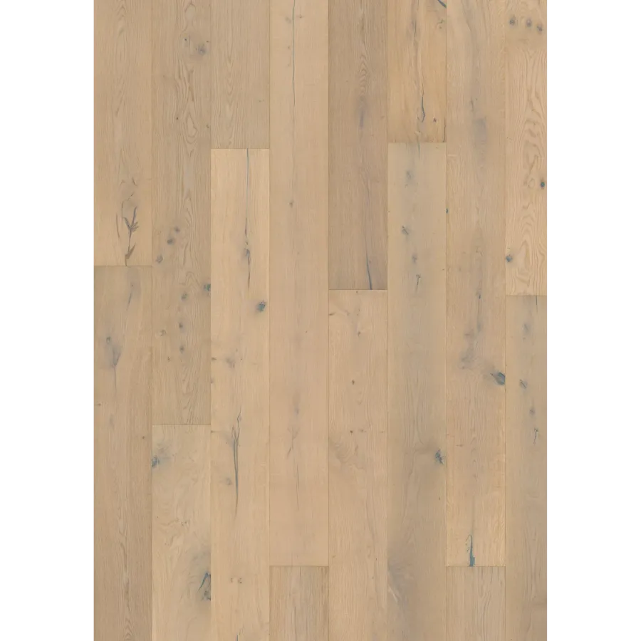 Oak Mistral