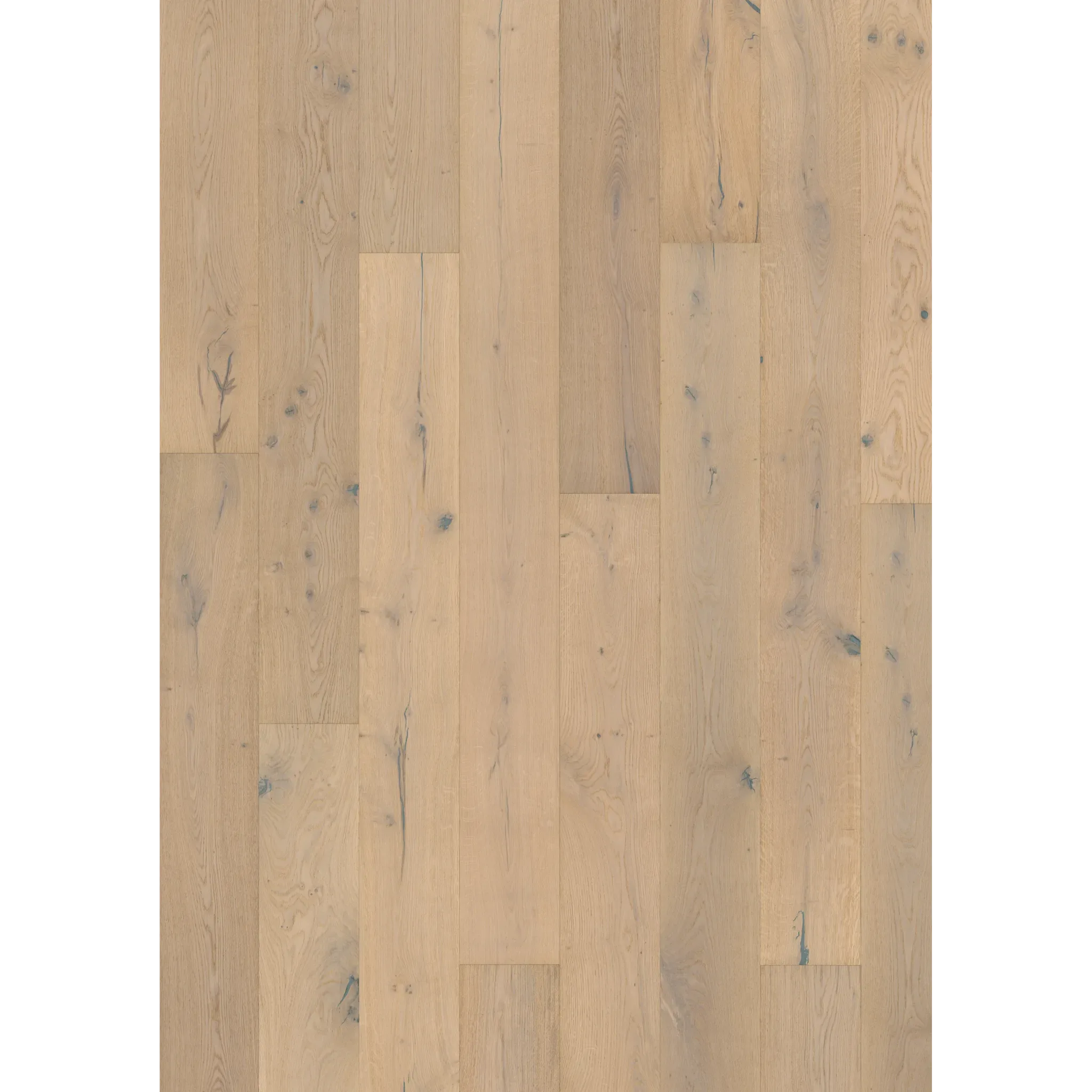 Oak Mistral