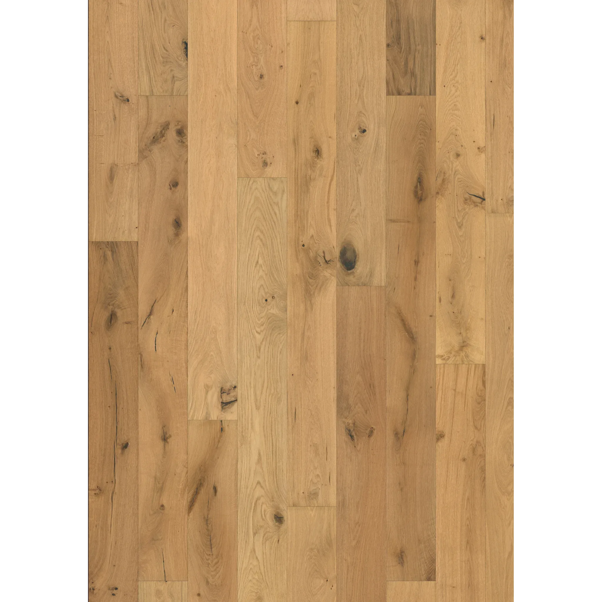 Oak Lynx Oiled