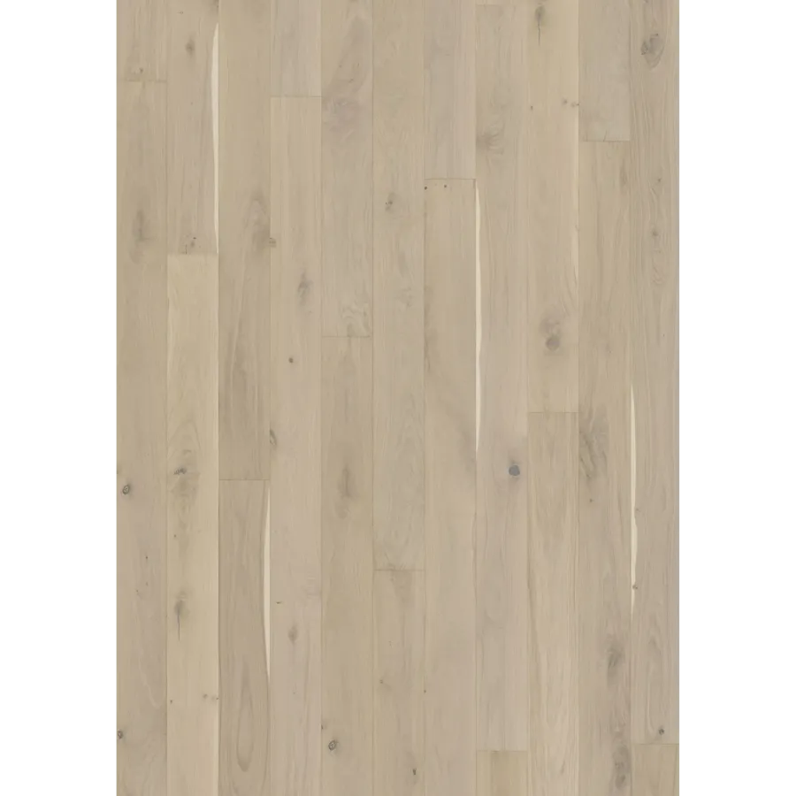 Oak Ghost