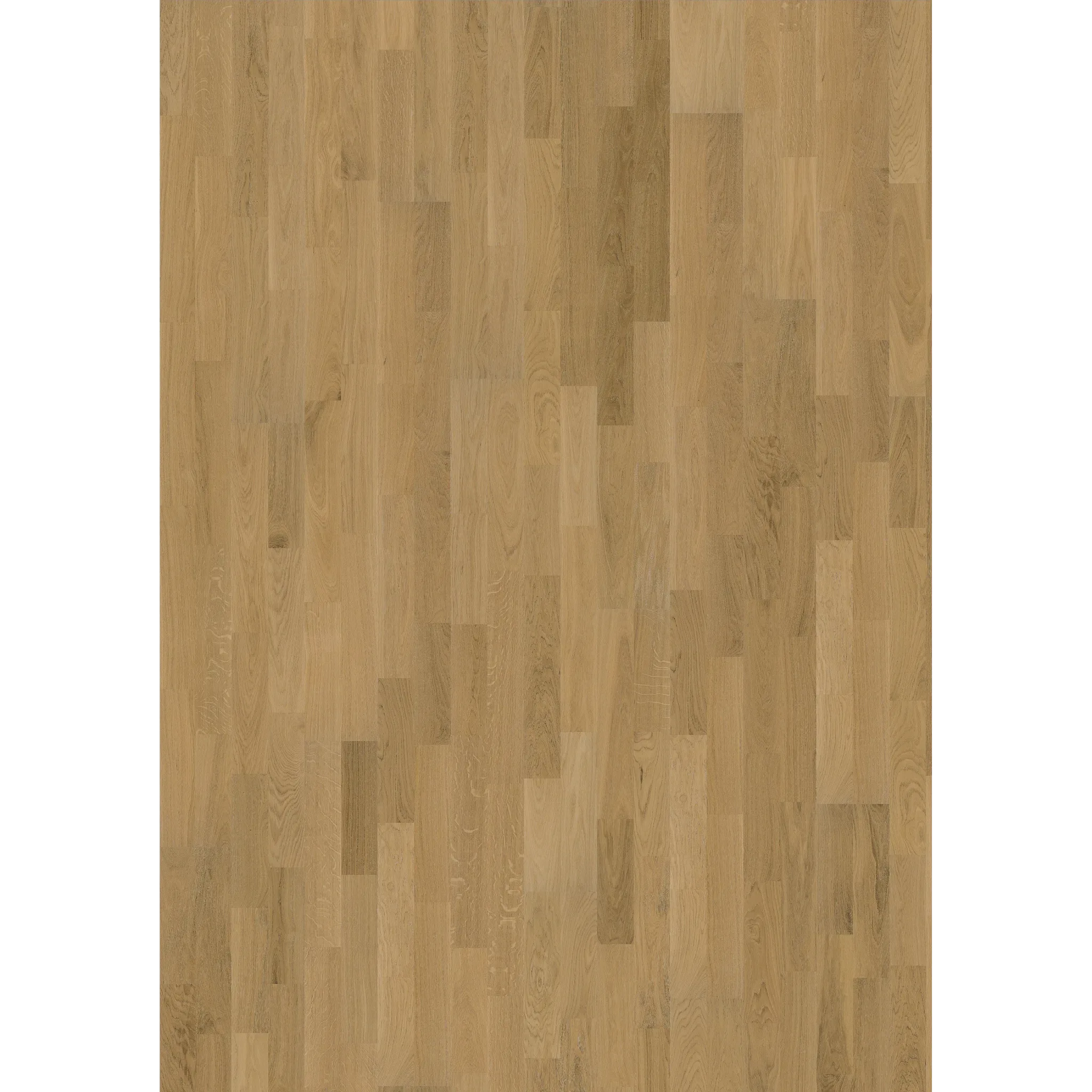 Oak Verona Ultra Matt
