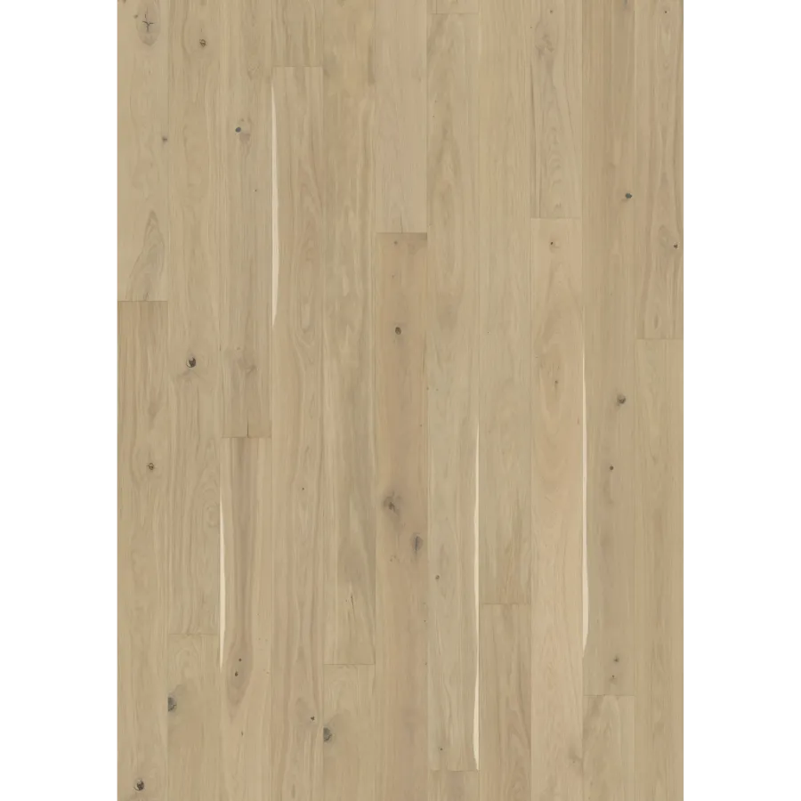 Oak Eggshell