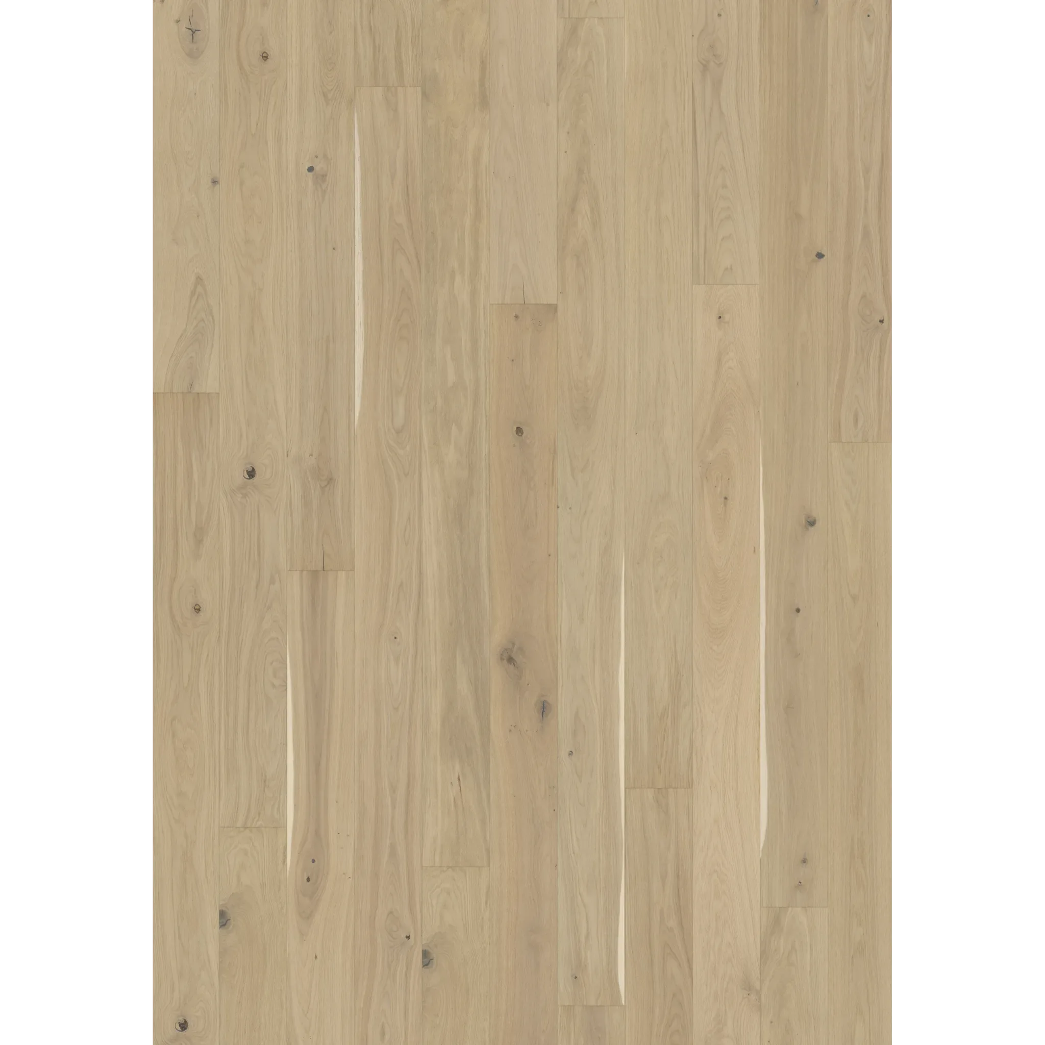 Oak Eggshell