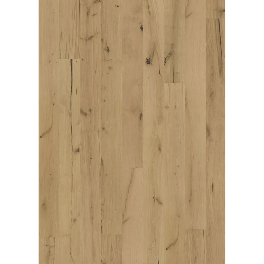 Texture Rohoptic