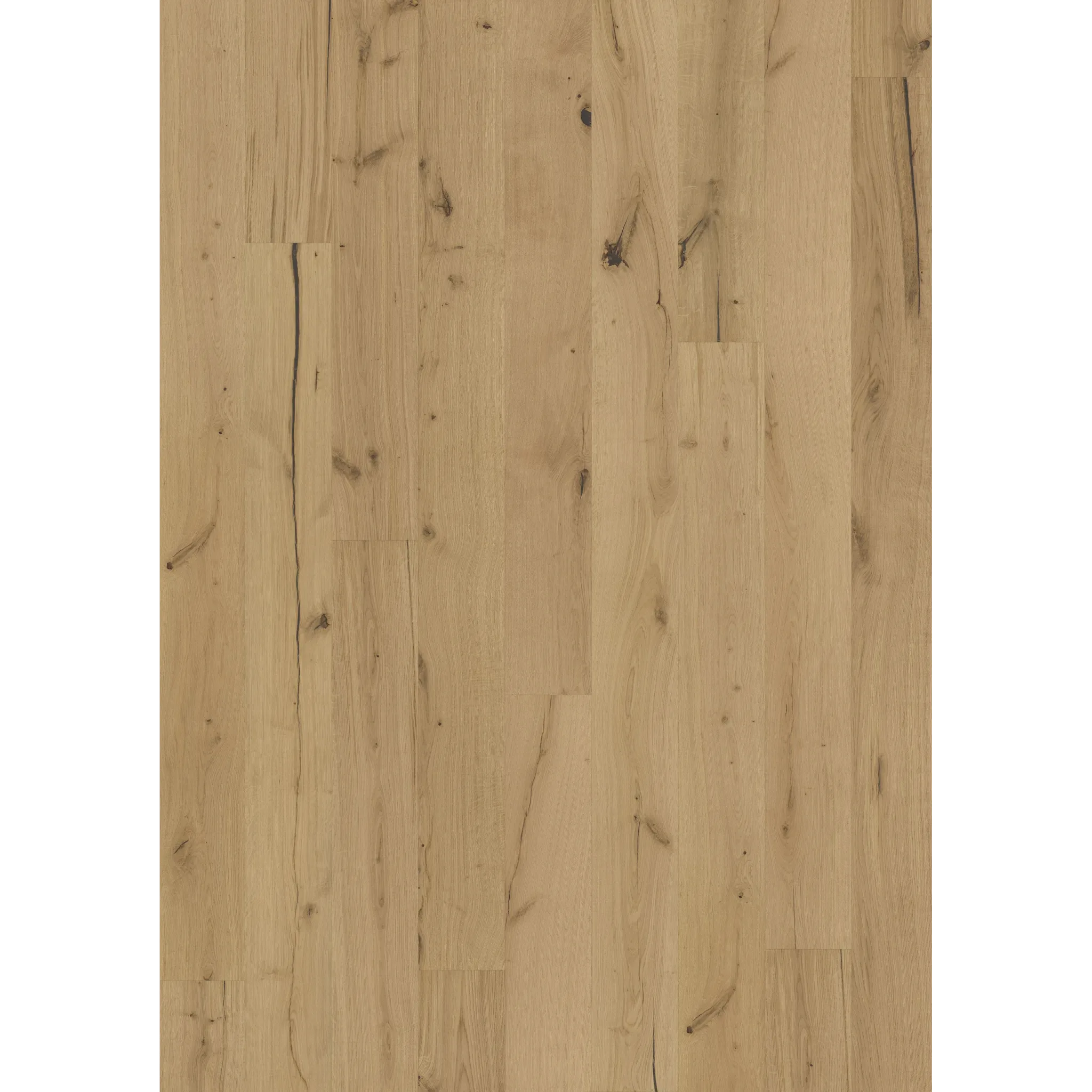 Texture Rohoptic